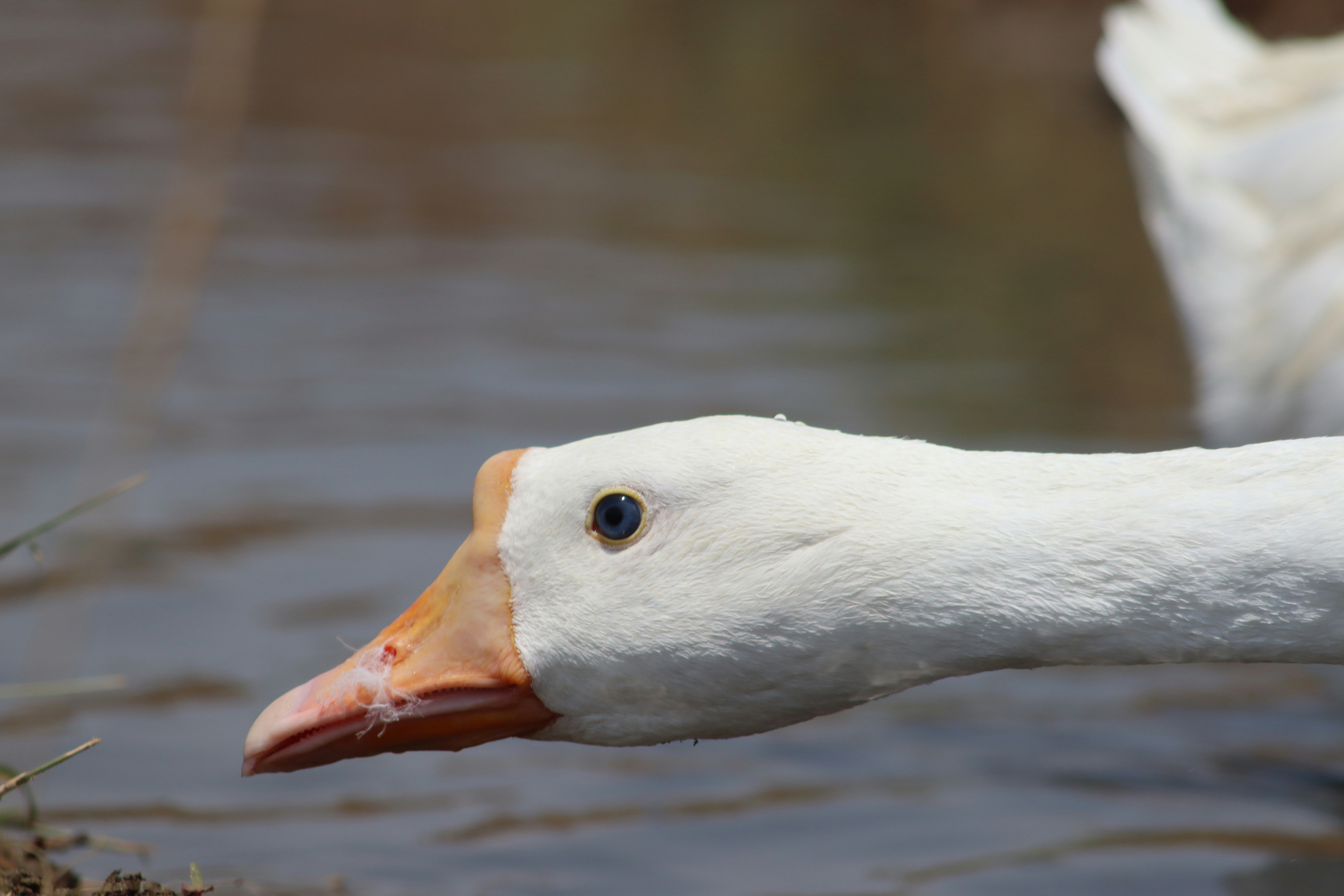 Photo by drphotographer152