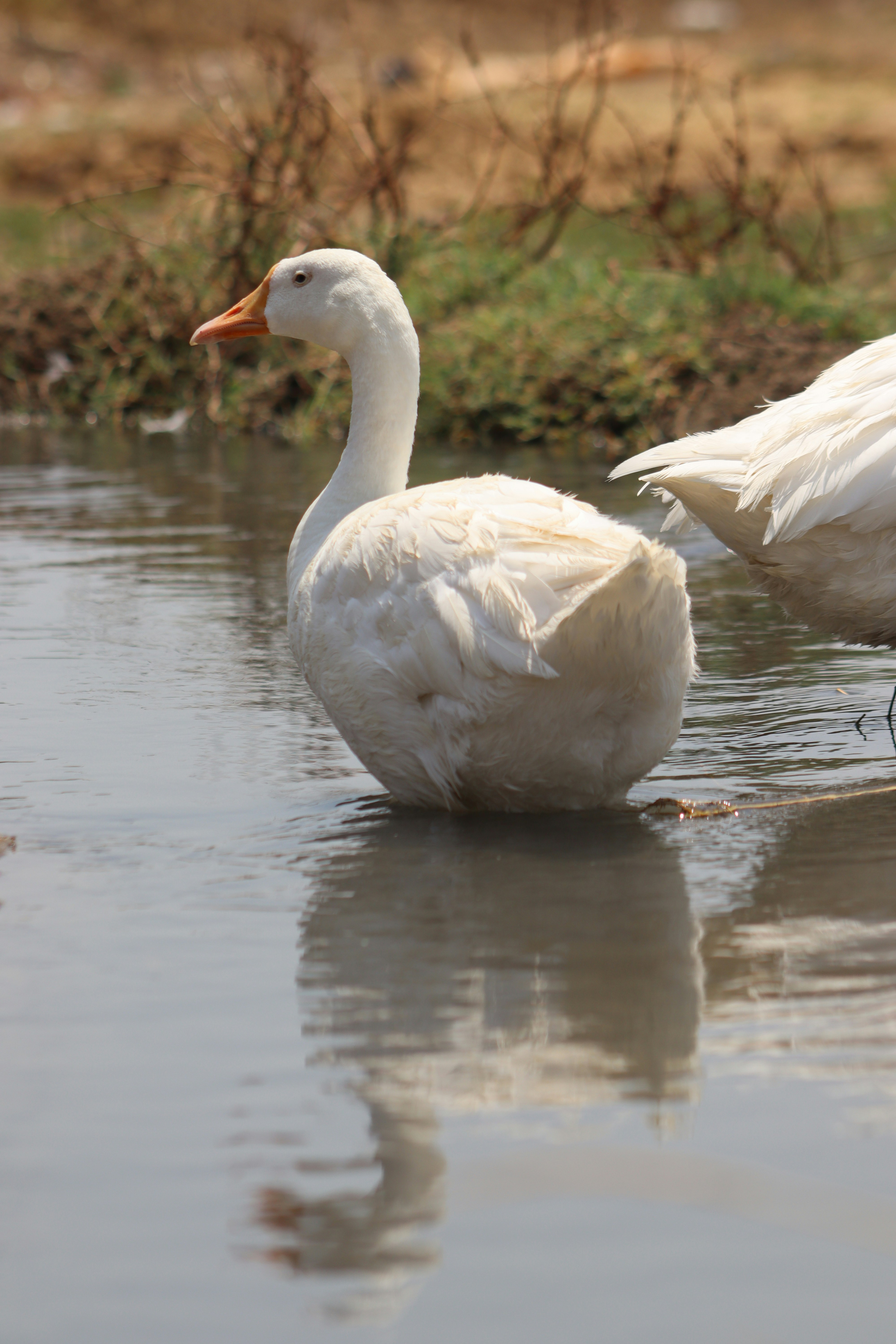 Photo by drphotographer152