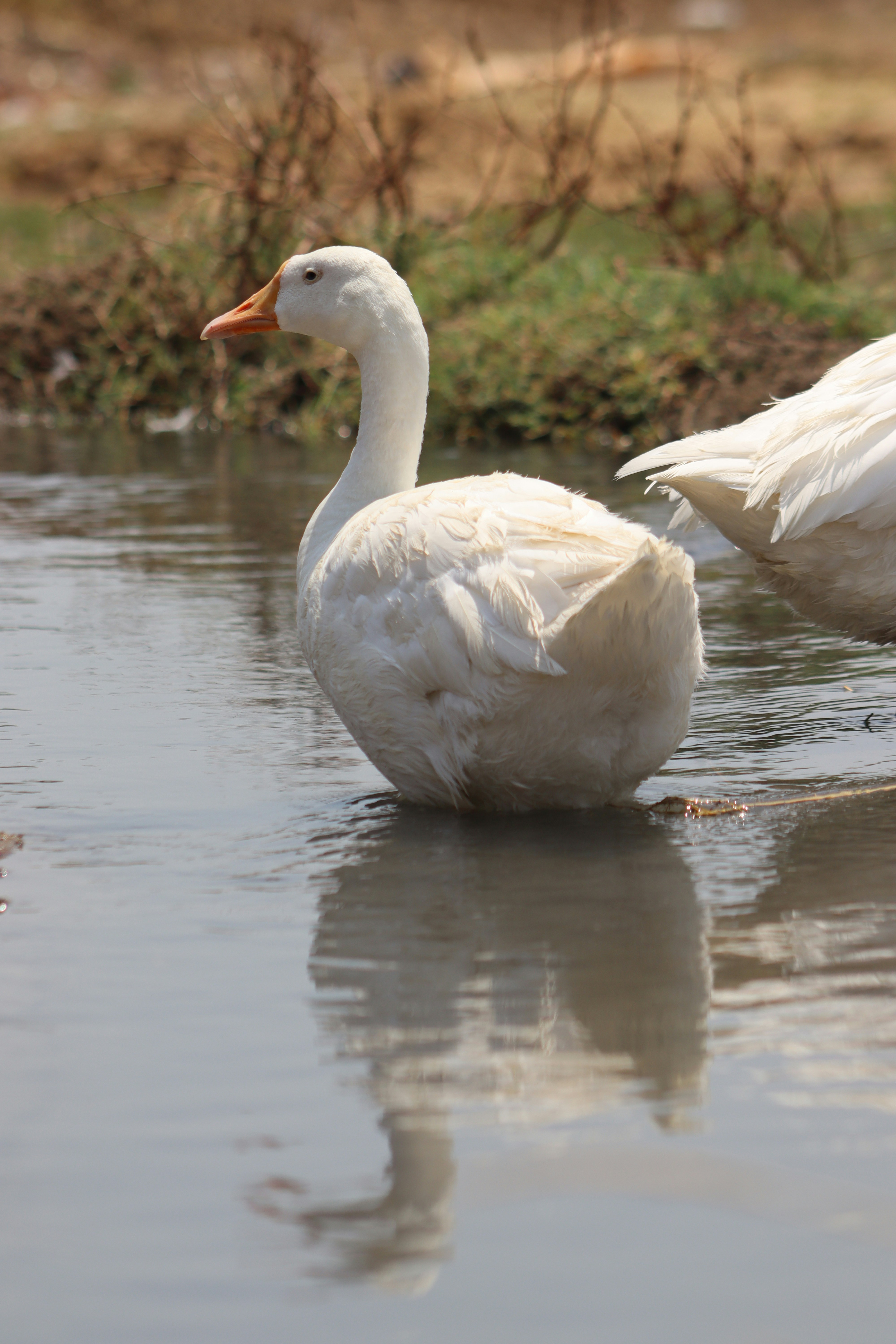 Photo by drphotographer152