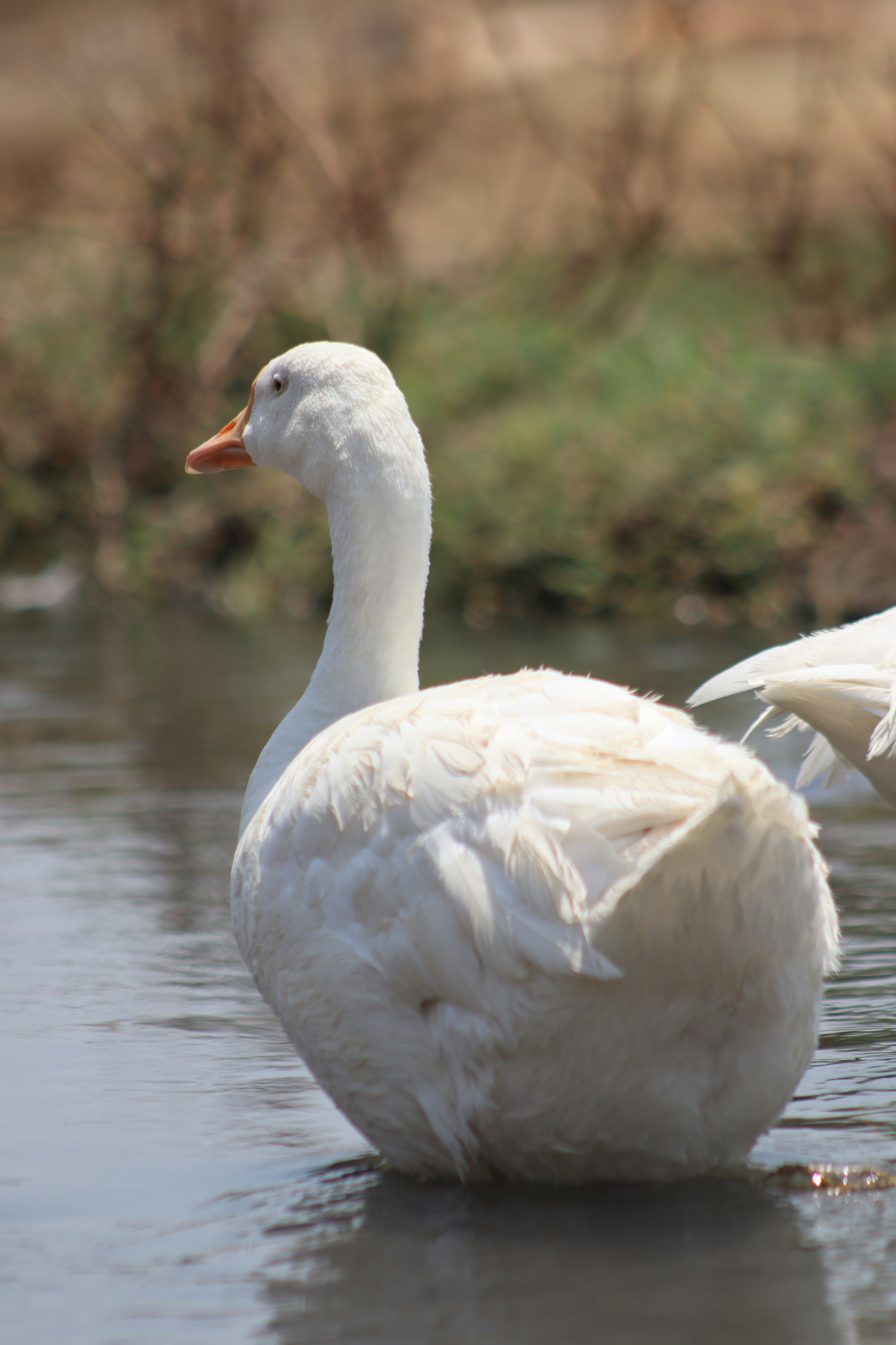 Photo by drphotographer152