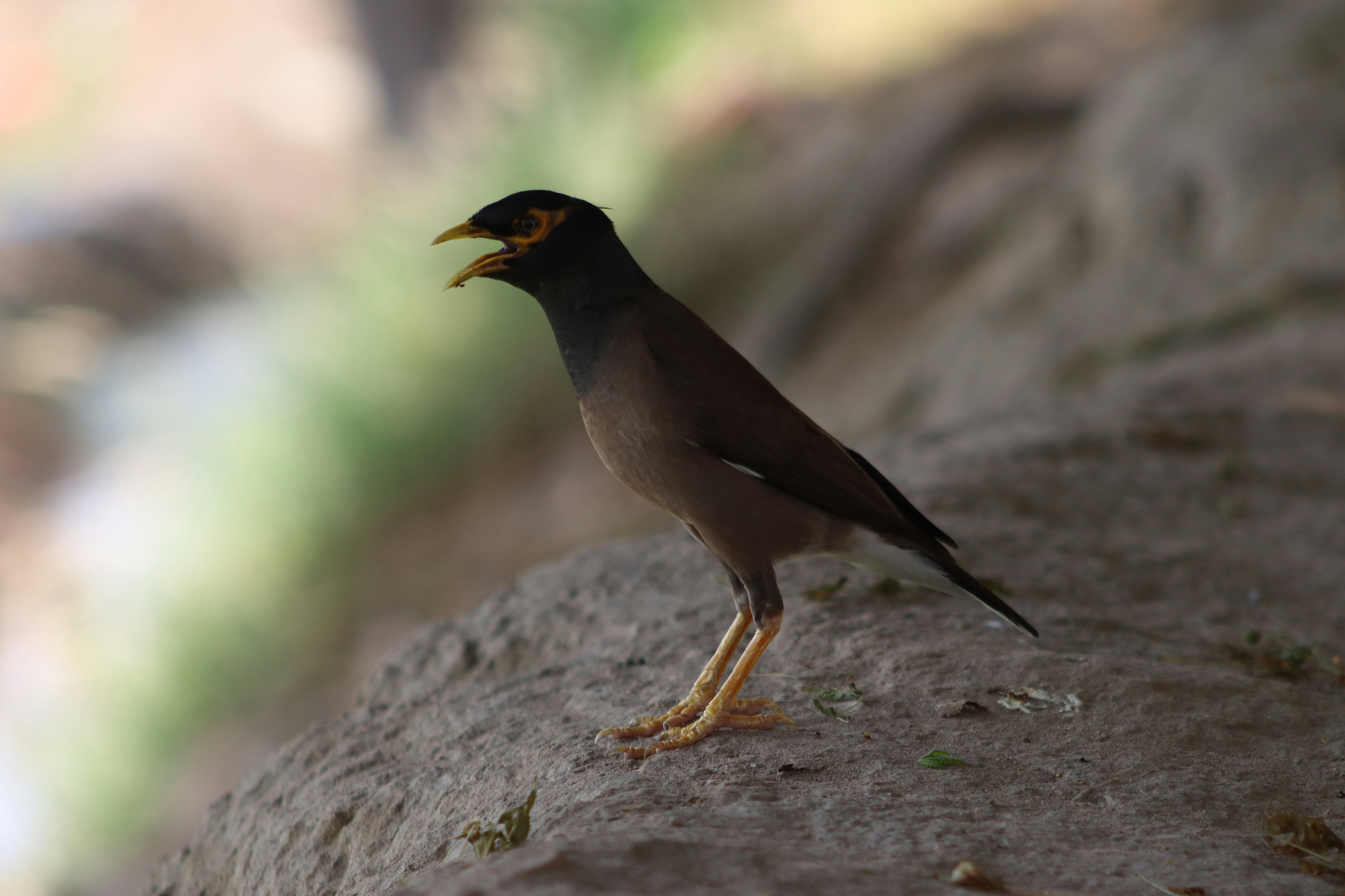 Photo by drphotographer152