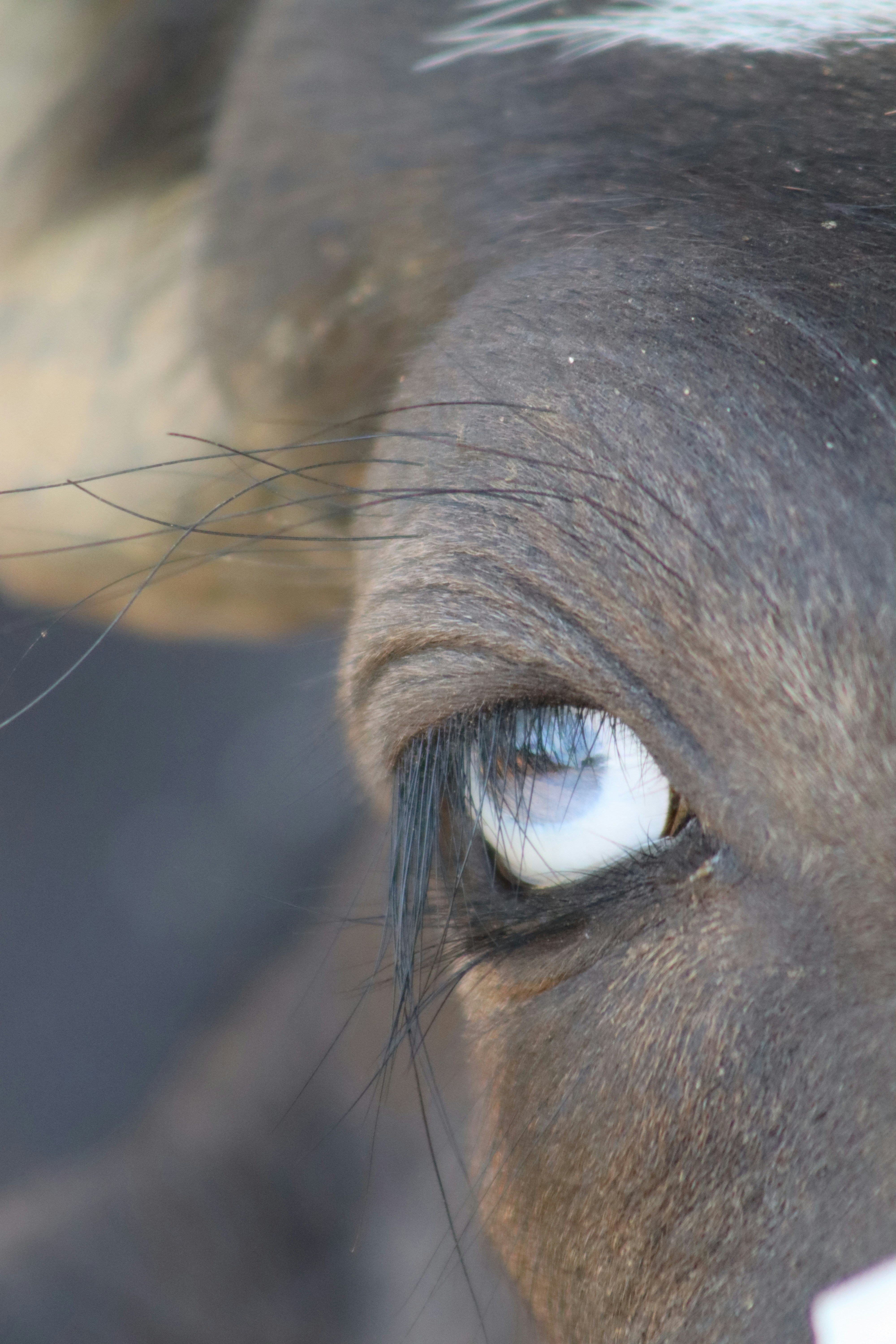 Photo by drphotographer152