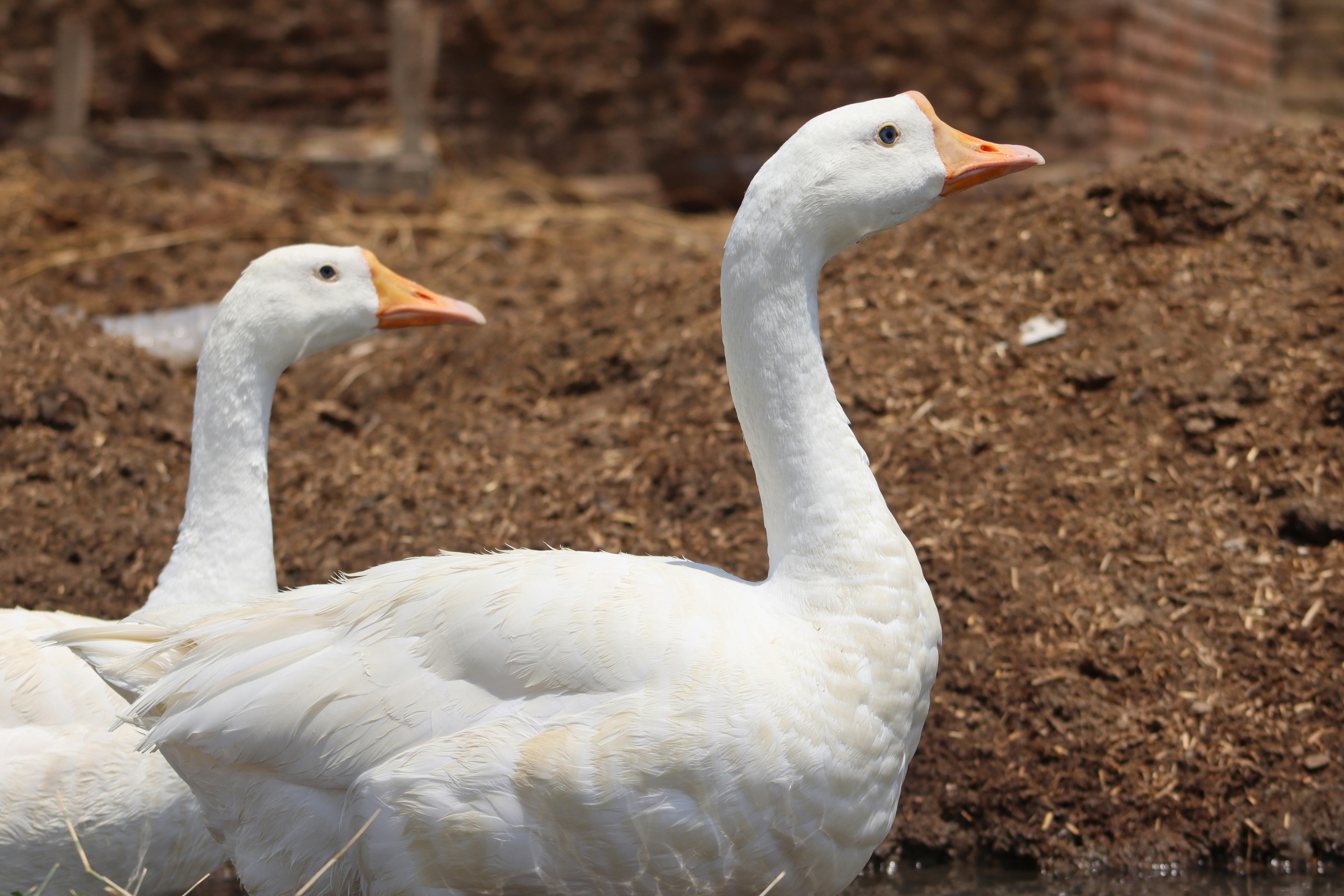 Photo by drphotographer152