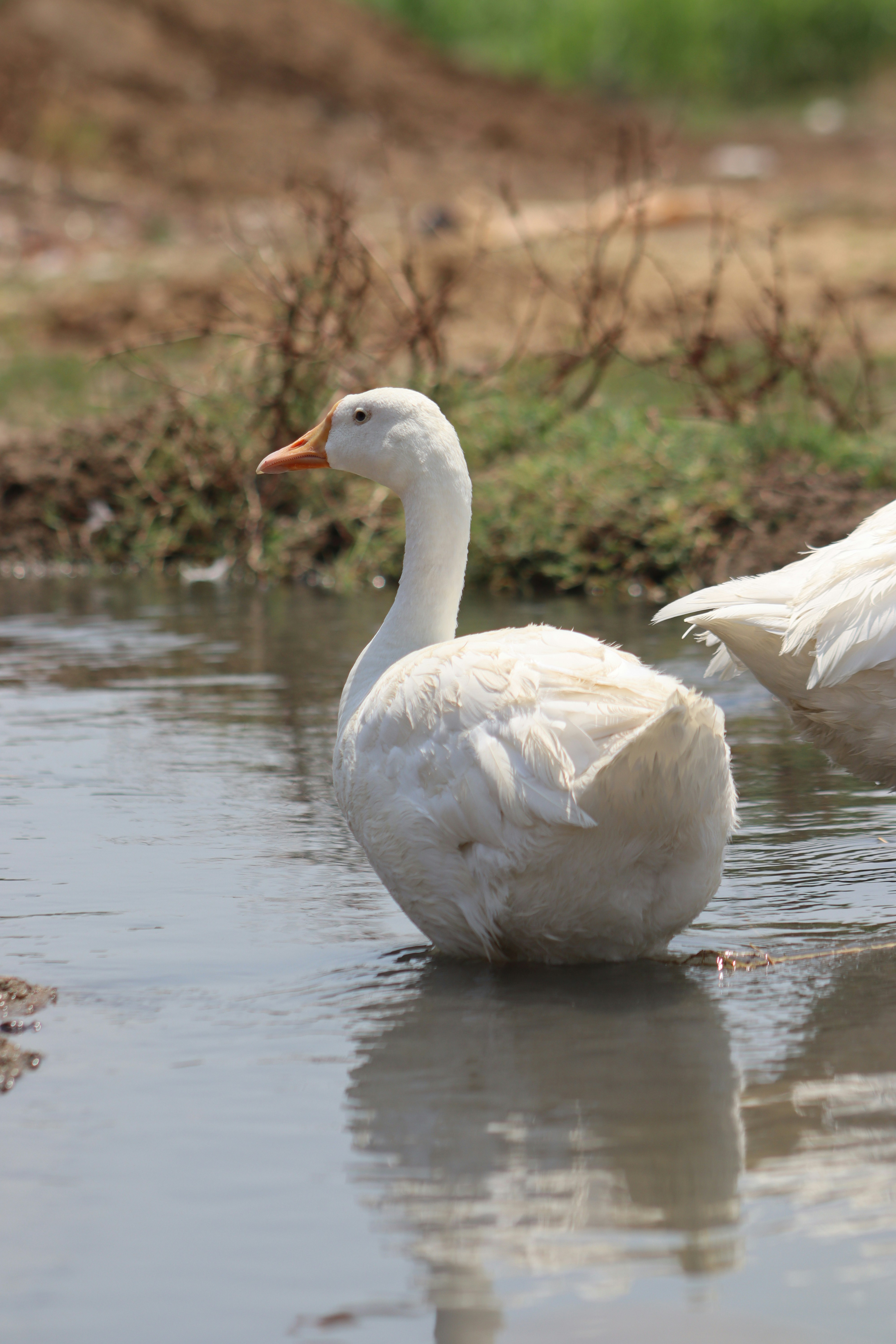 Photo by drphotographer152