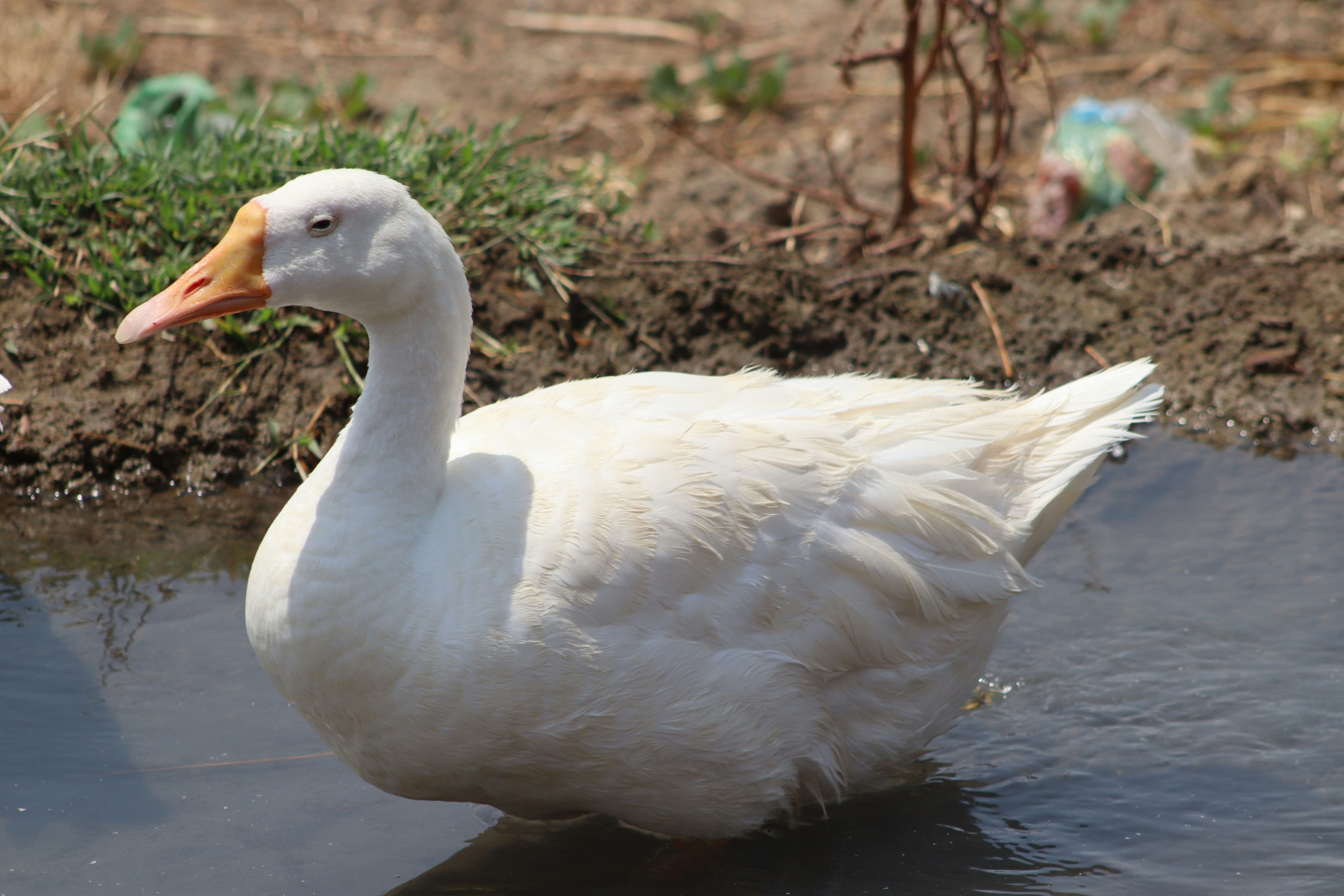 Photo by drphotographer152