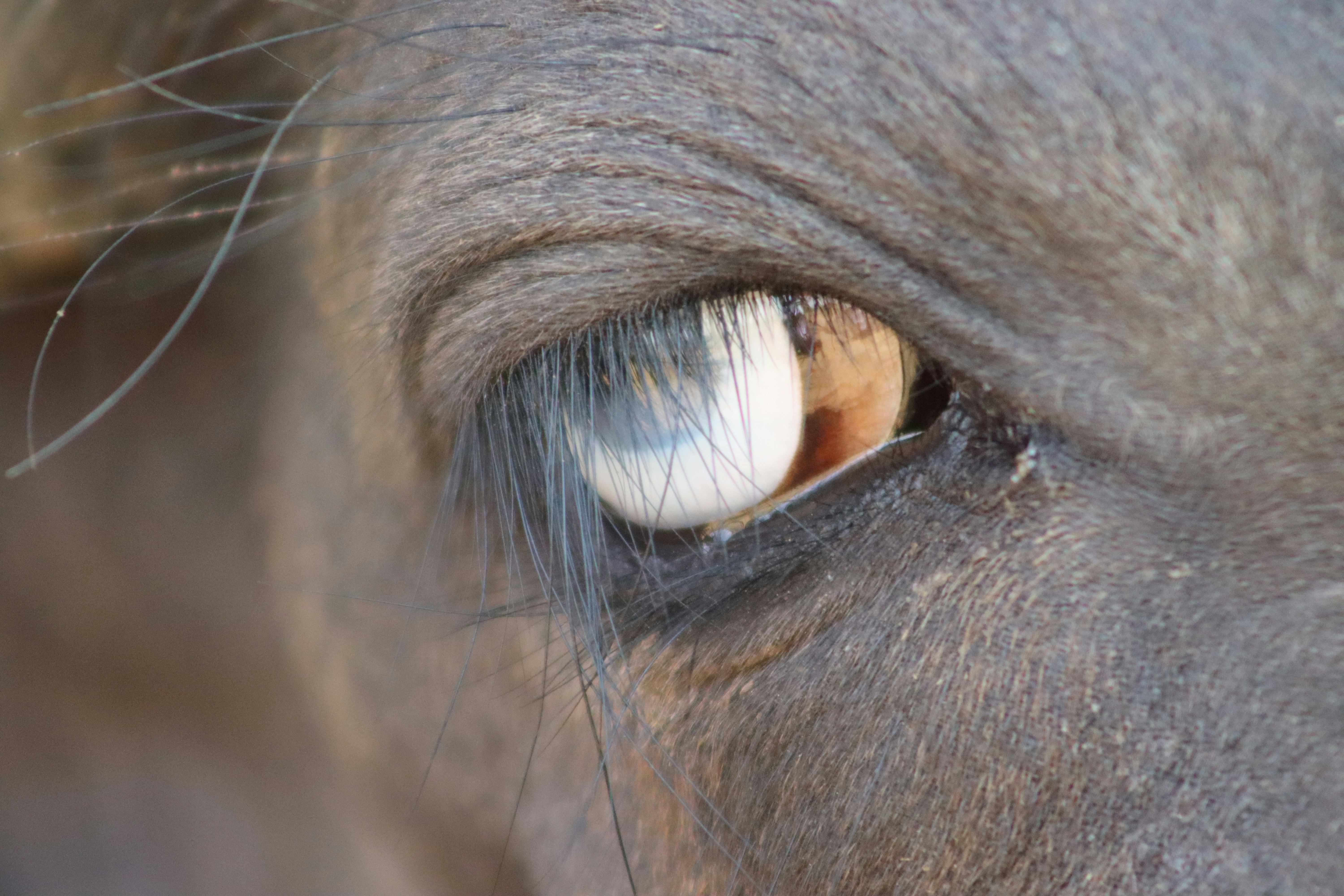 Photo by drphotographer152