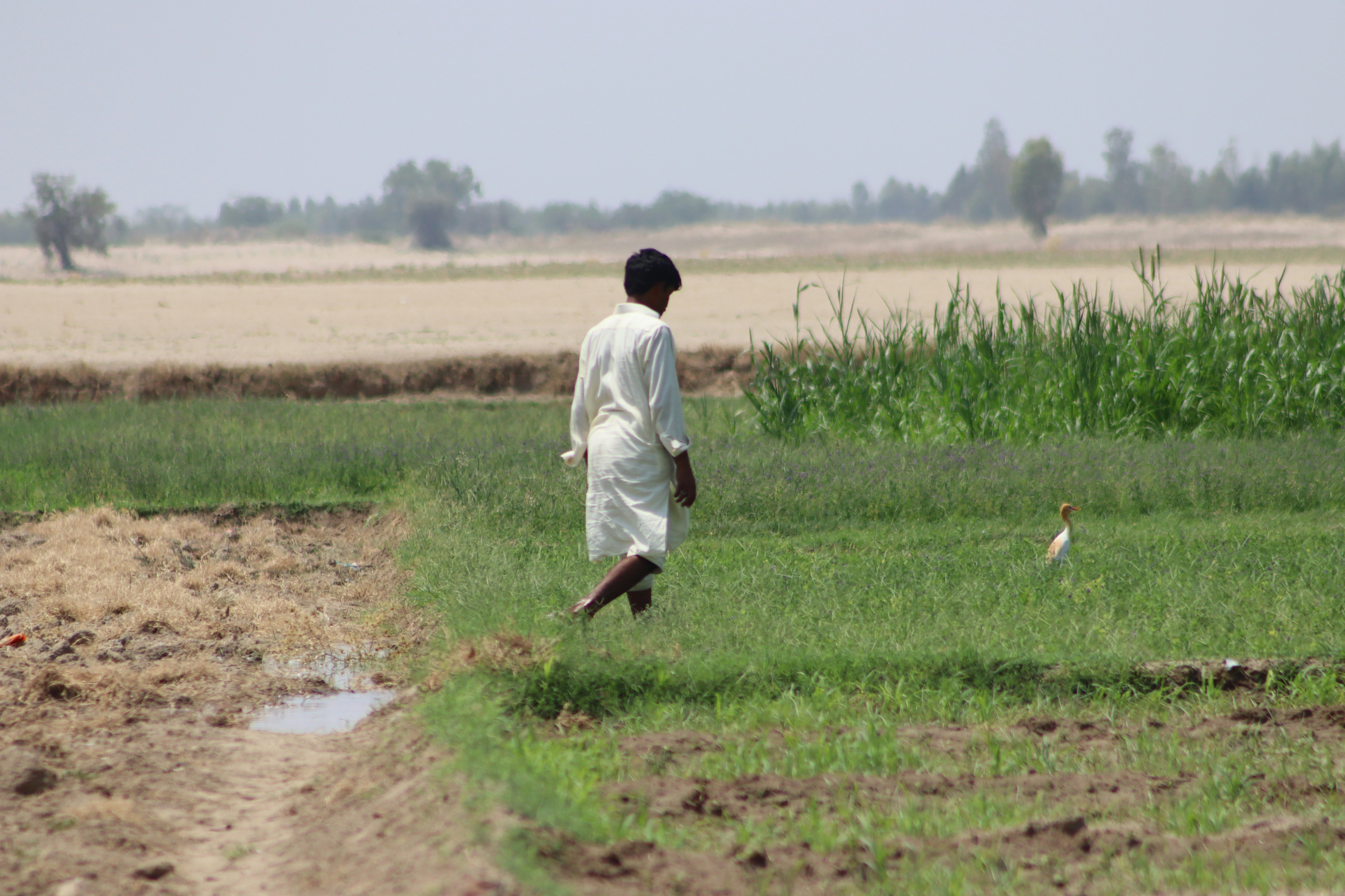 Photo by drphotographer152