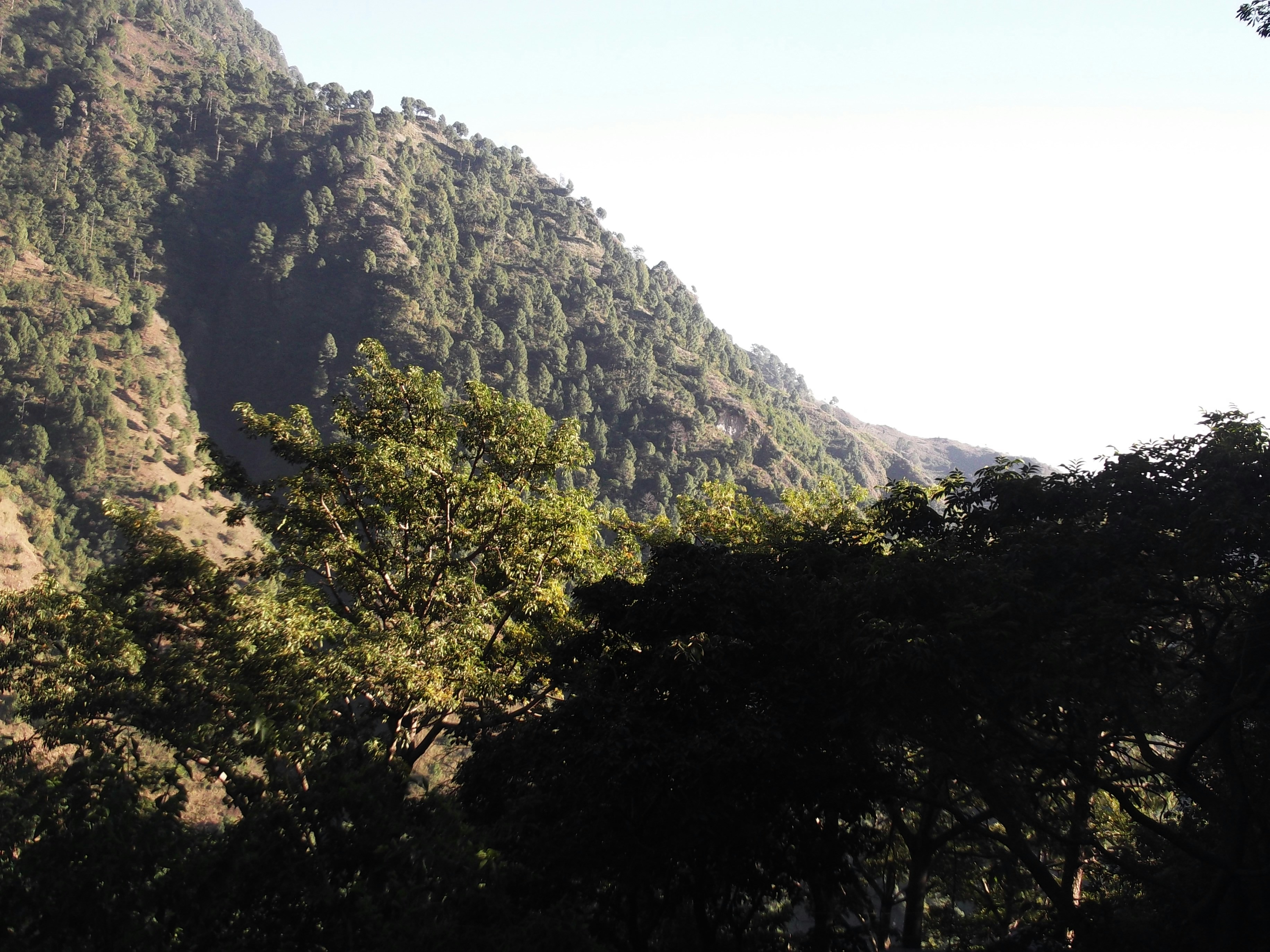 Photo by manavtripathi91