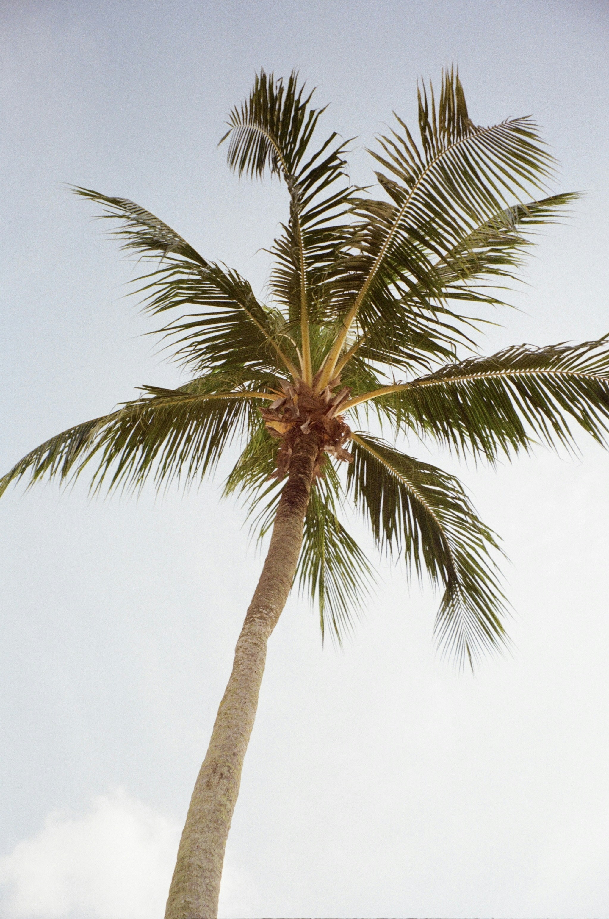 Photo by jingtography