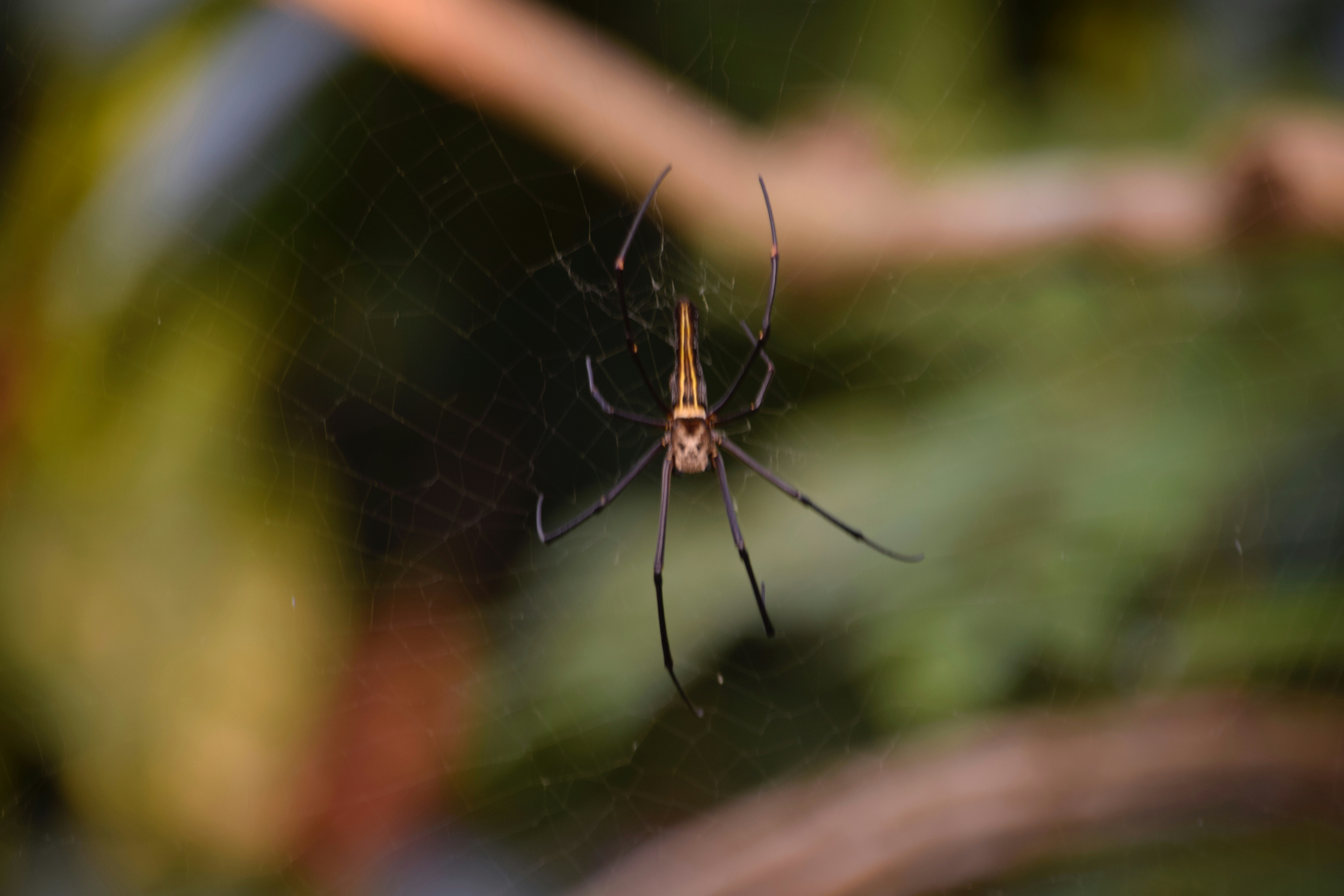 Photo by rrajputphotography