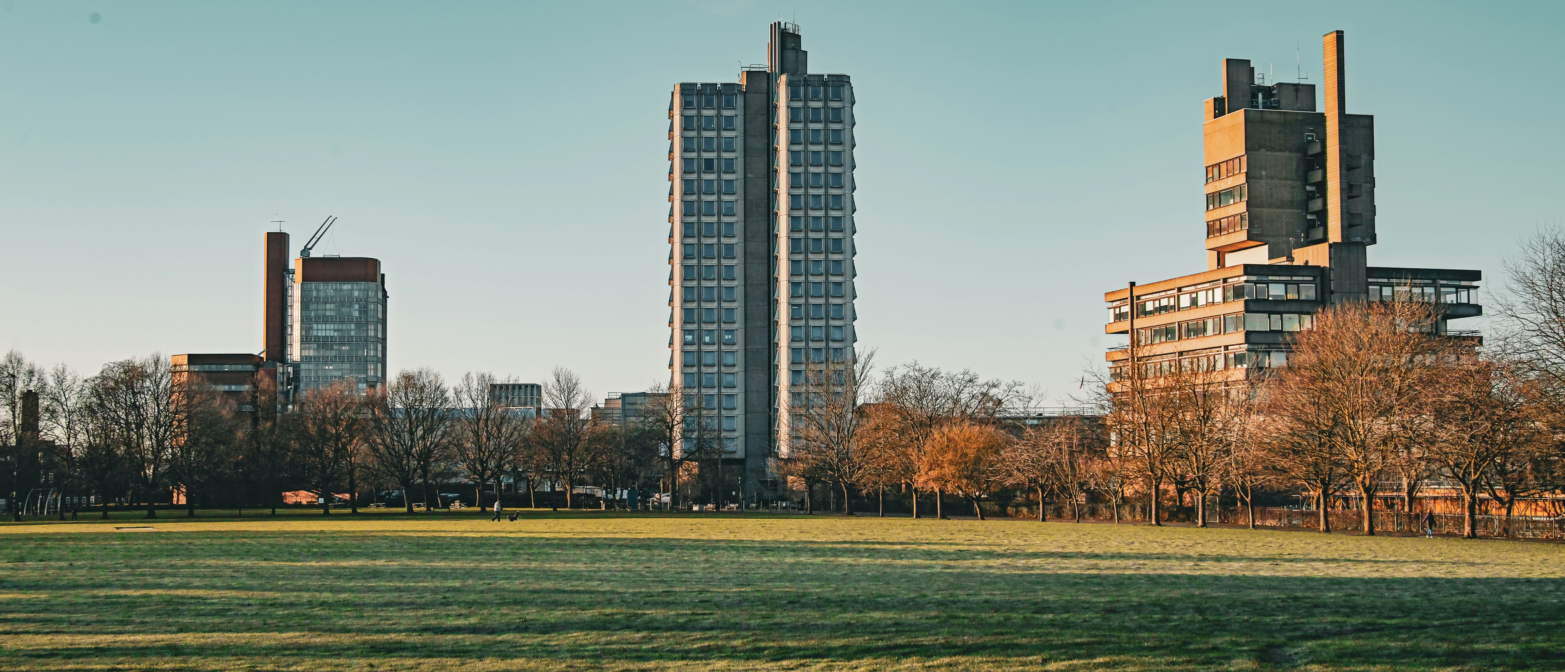 A grassy field with tall buildings in the background