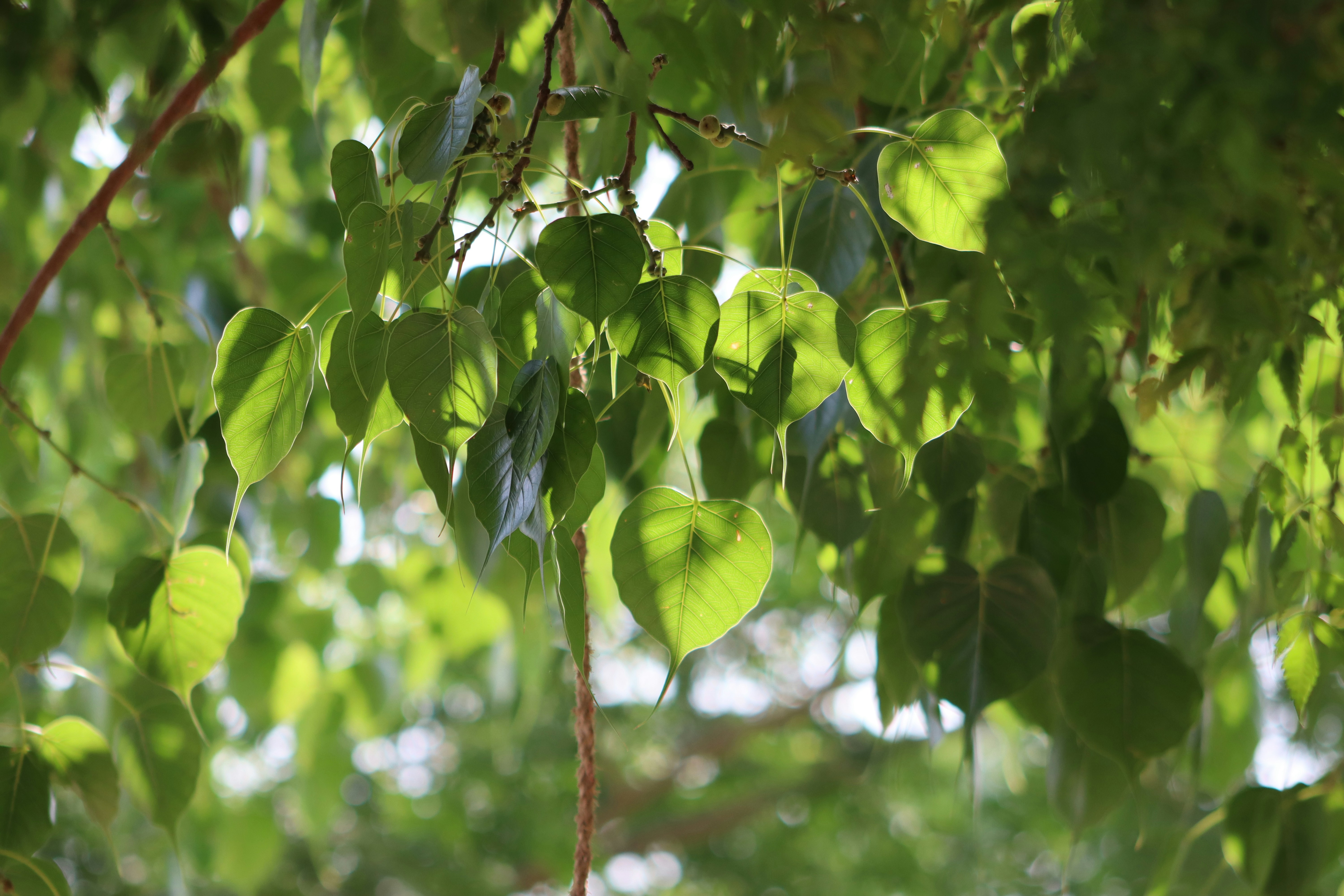 Photo by drphotographer152