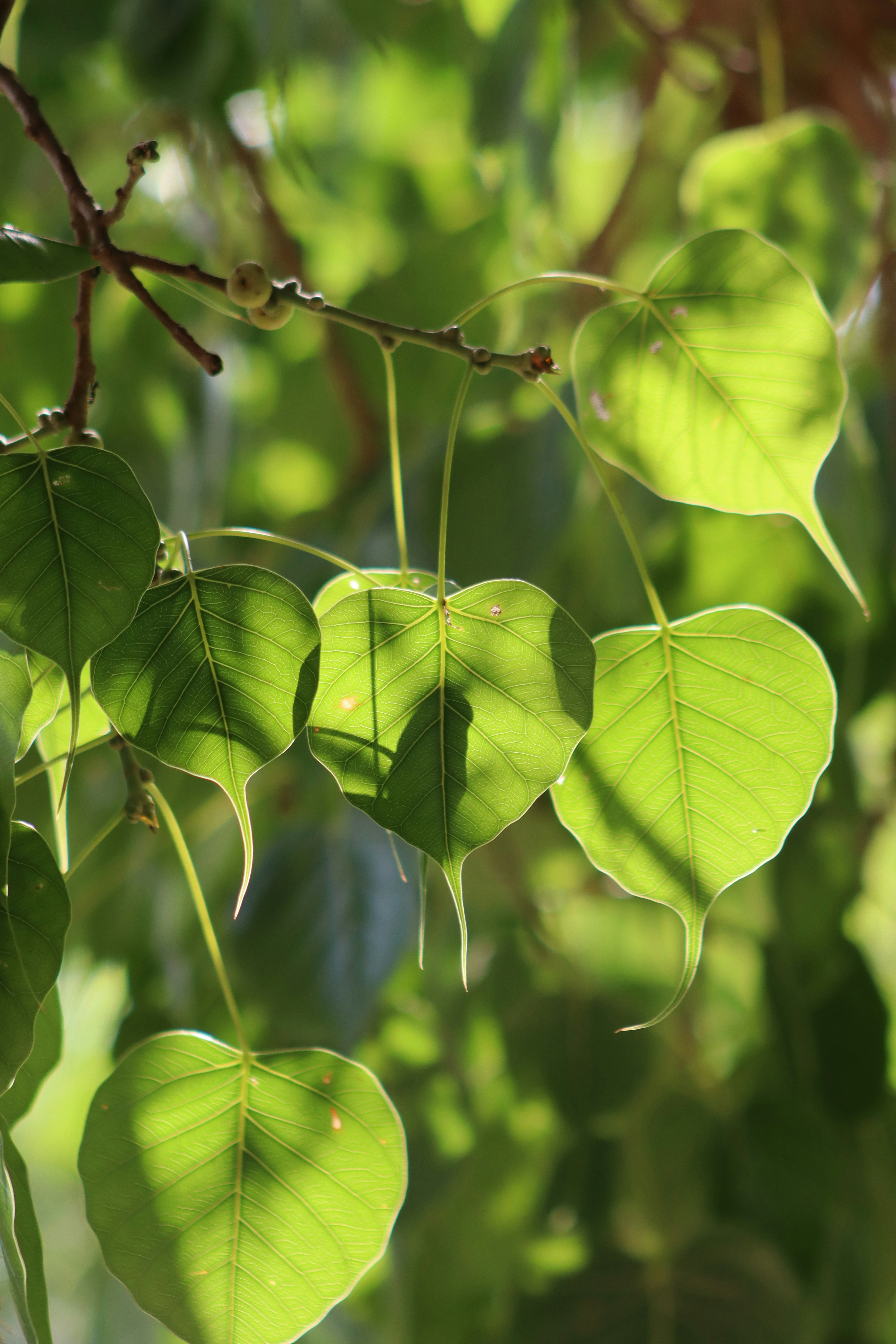 Photo by drphotographer152