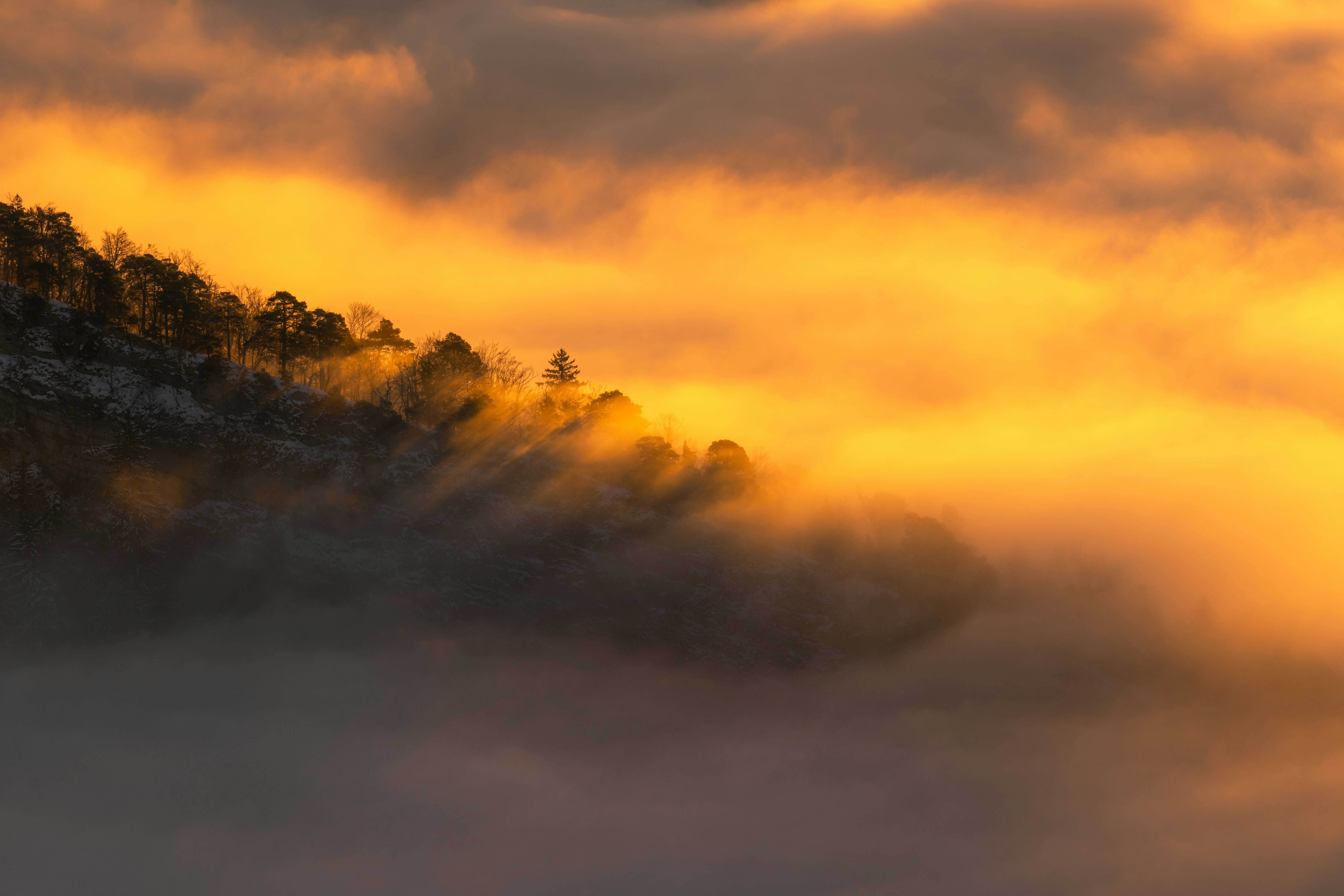 Photo by philipp_dice