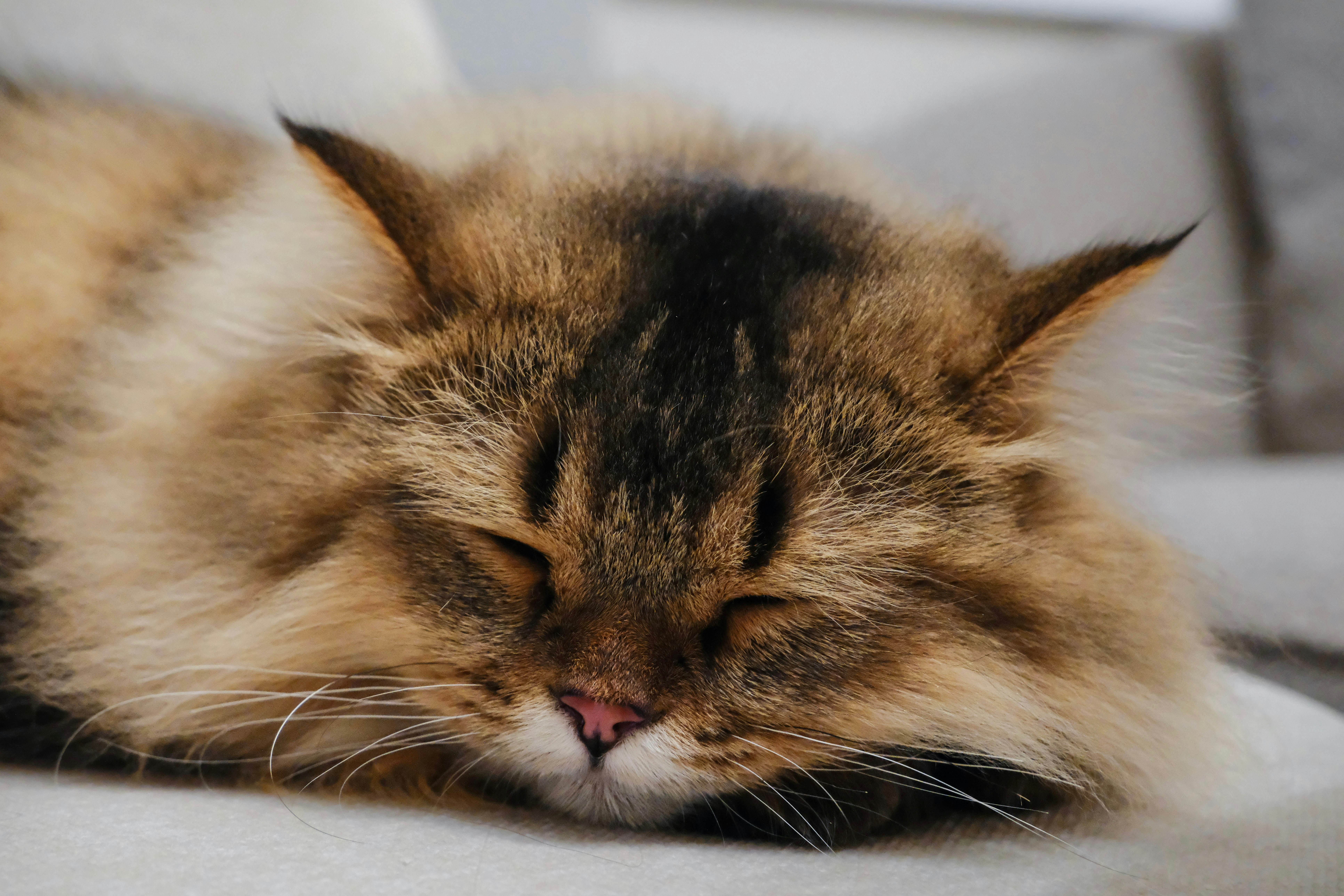 Photo by farnaz________