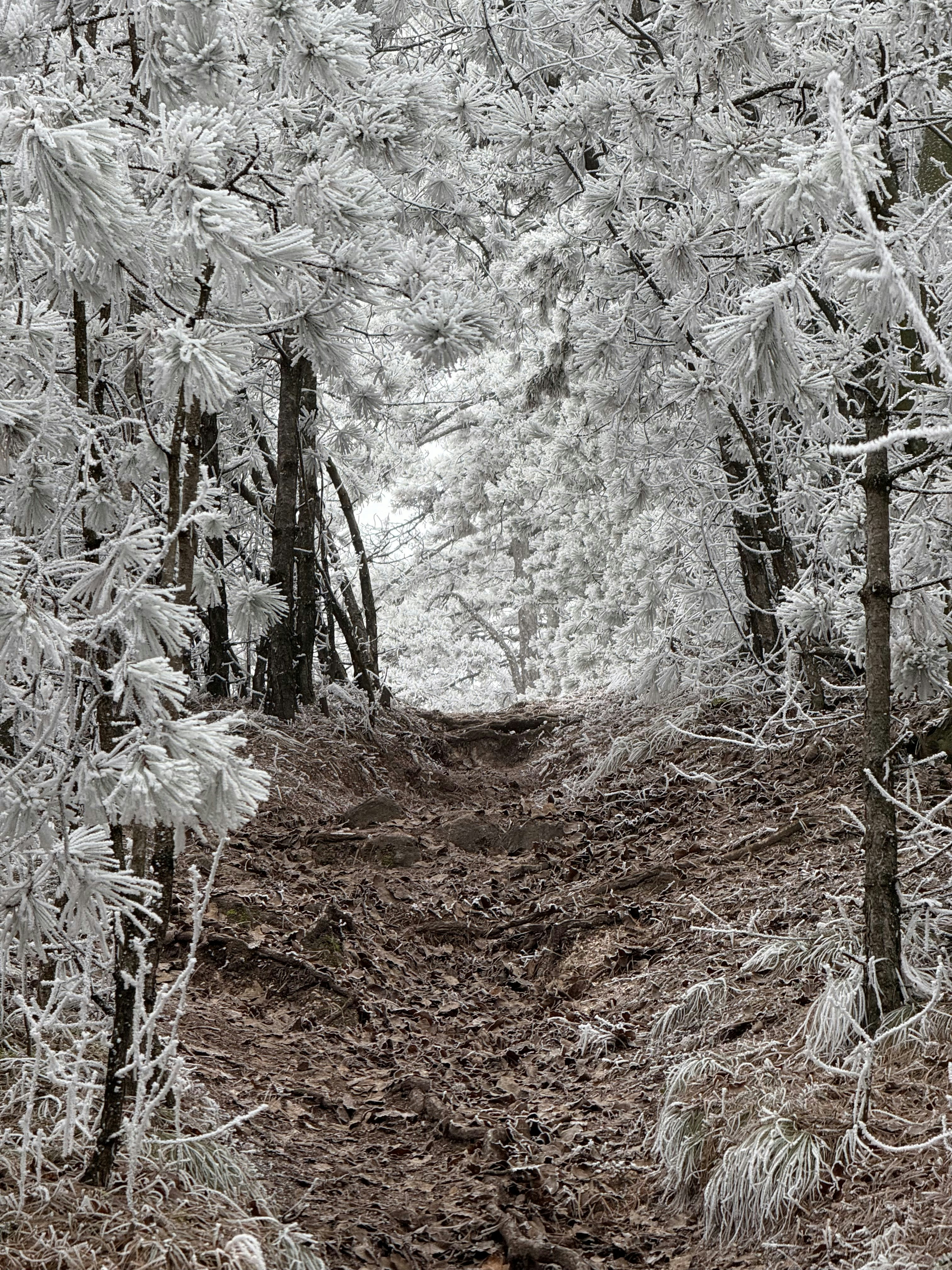 Photo by mihaly_koles