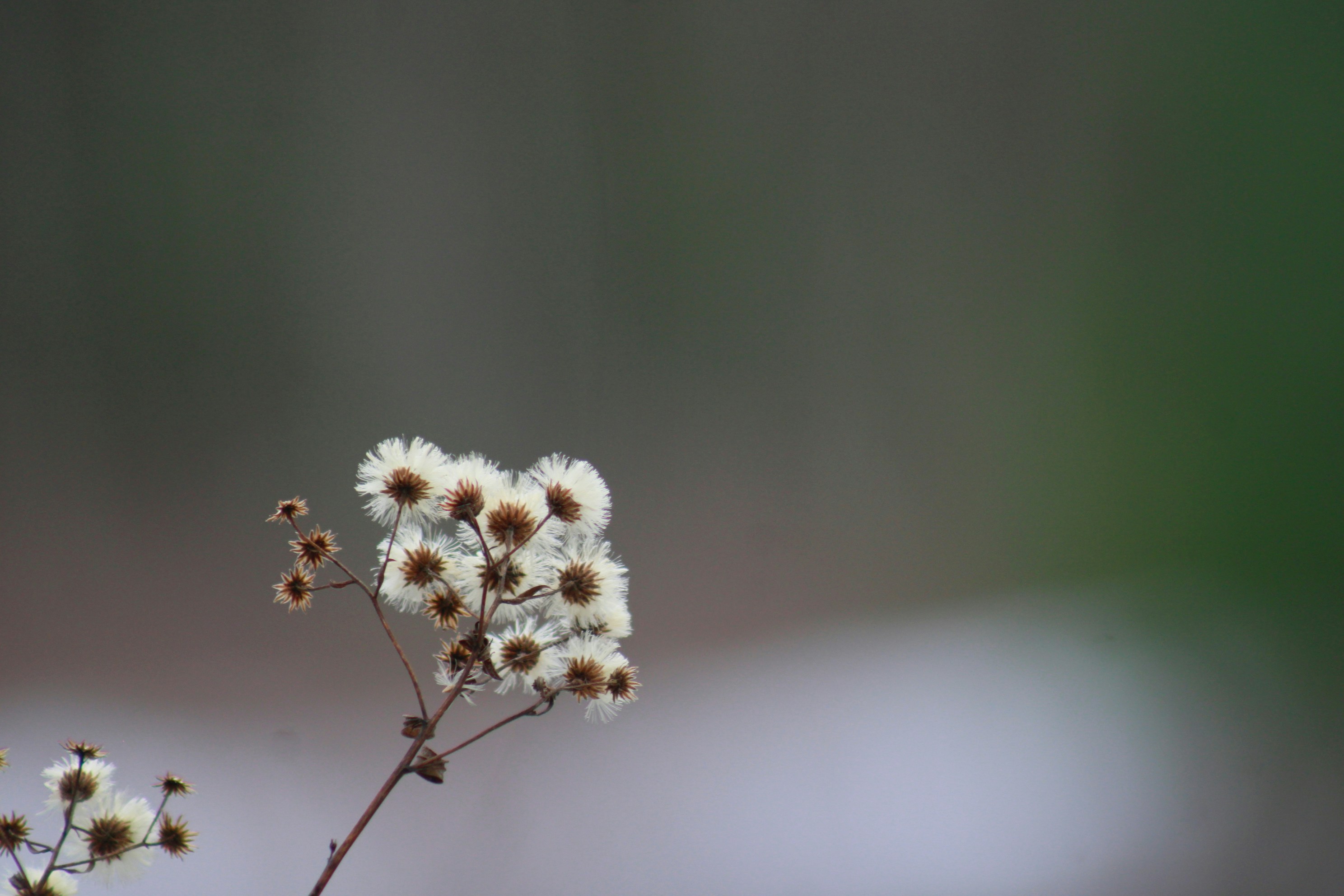 Photo by lisa_duqlaw