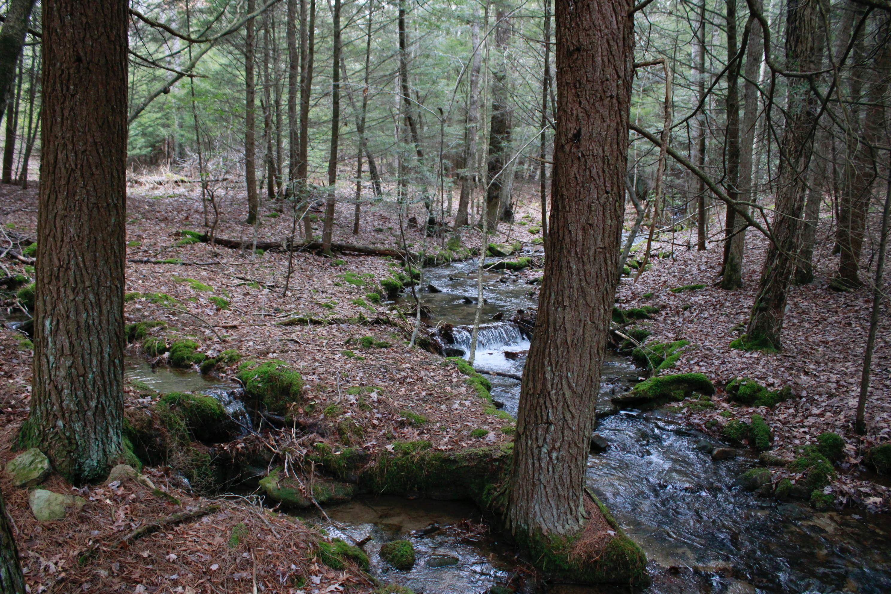 Photo by lisa_duqlaw