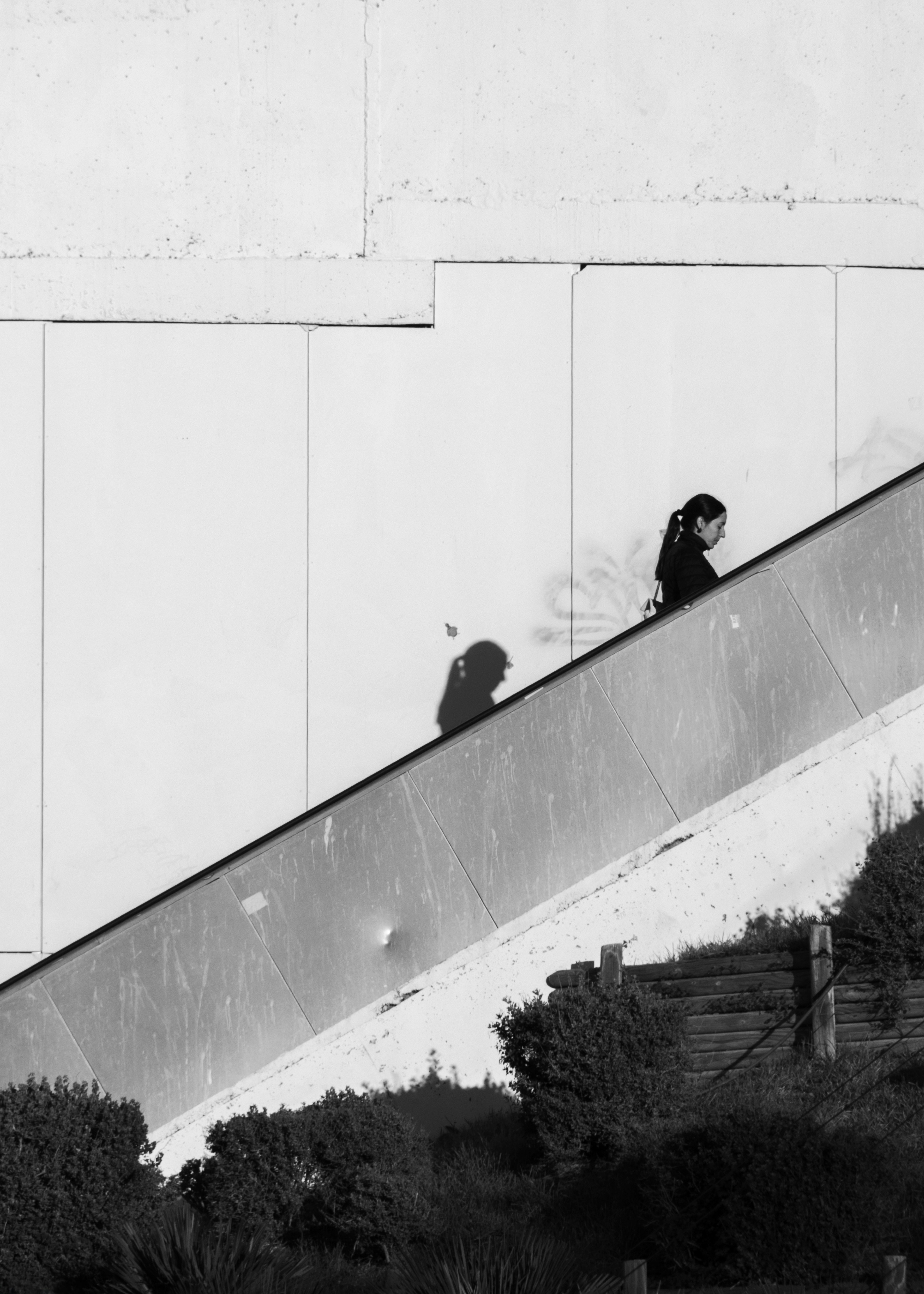 Photo by filipenobre