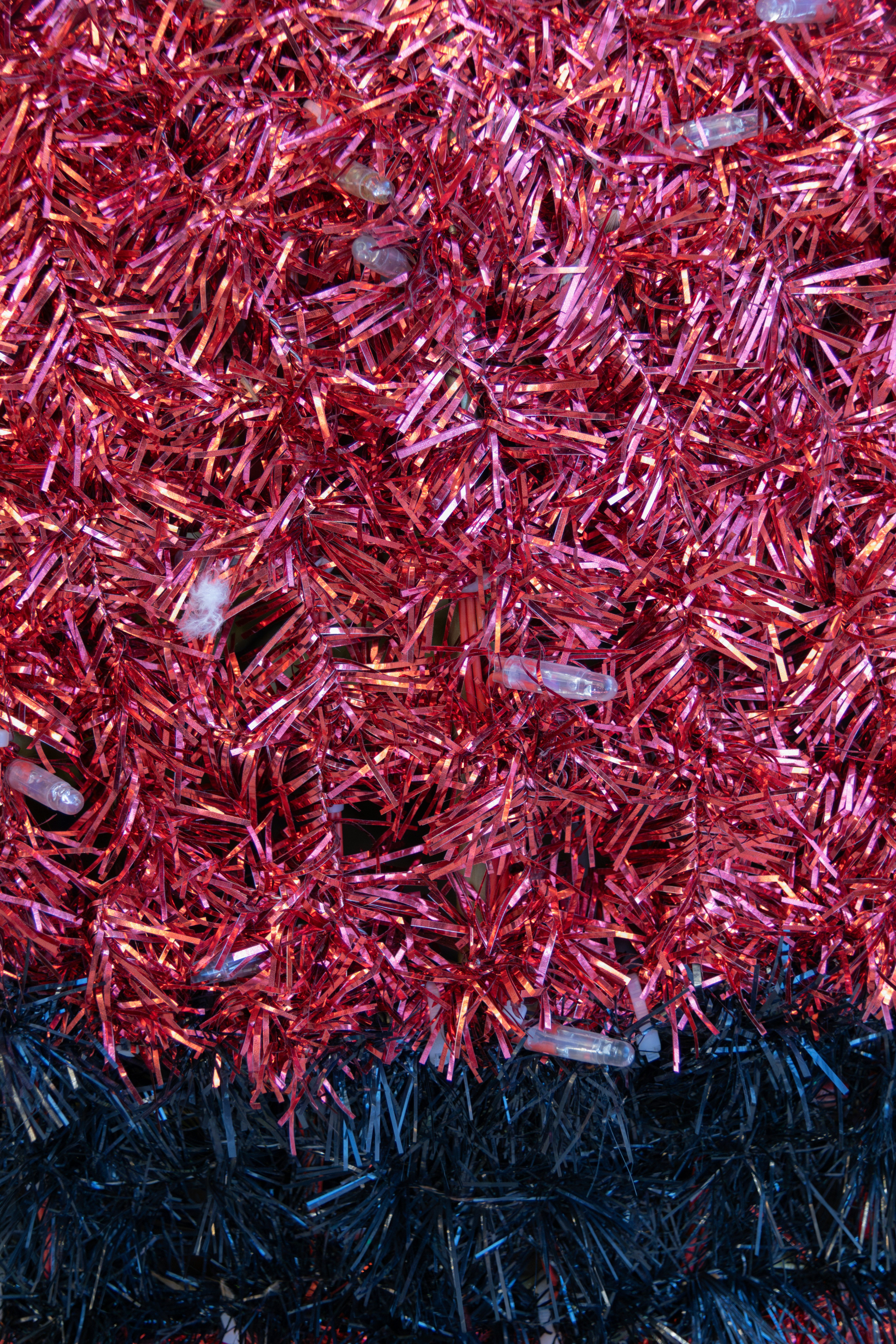 Photo by filipenobre