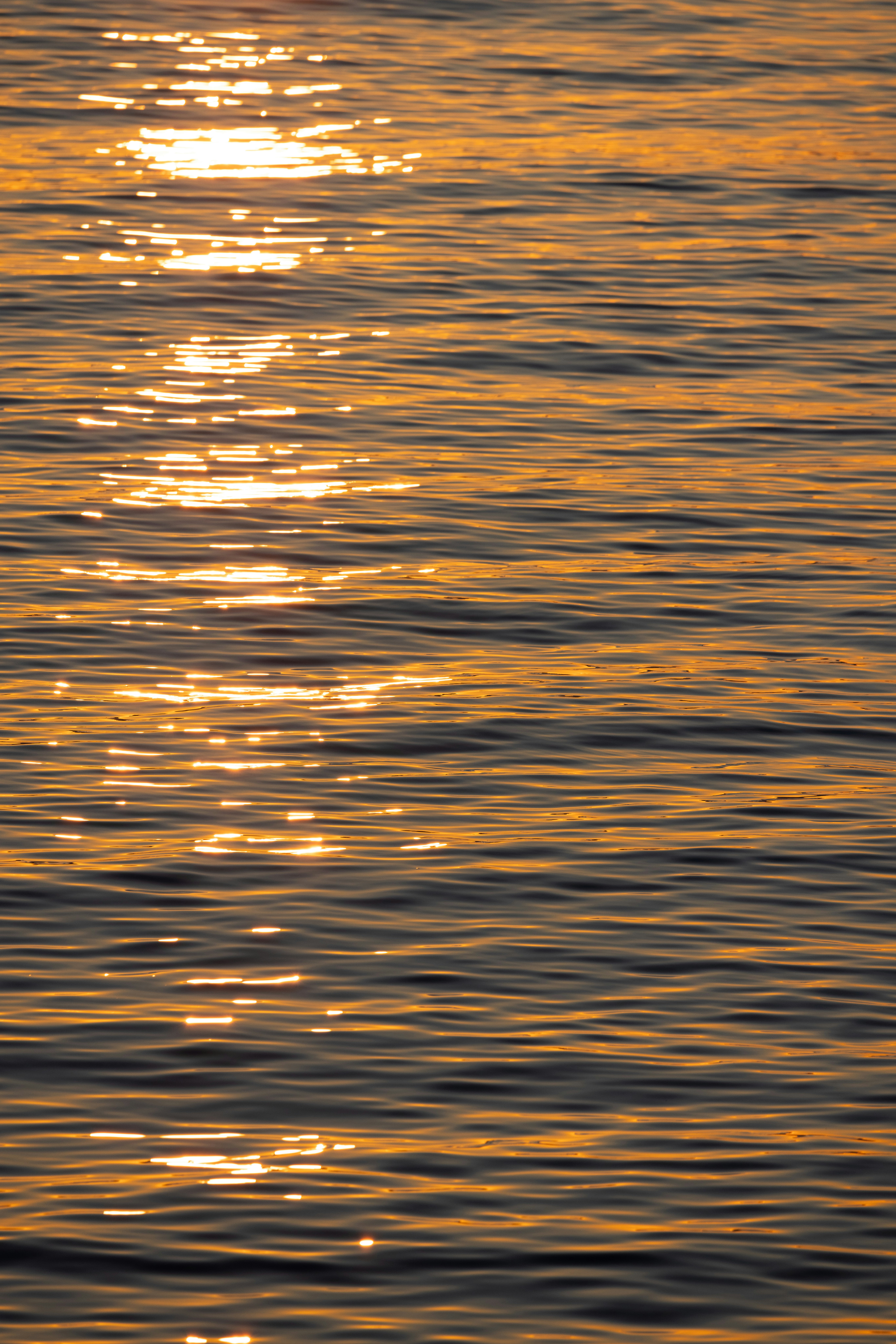 Photo by milanstagram