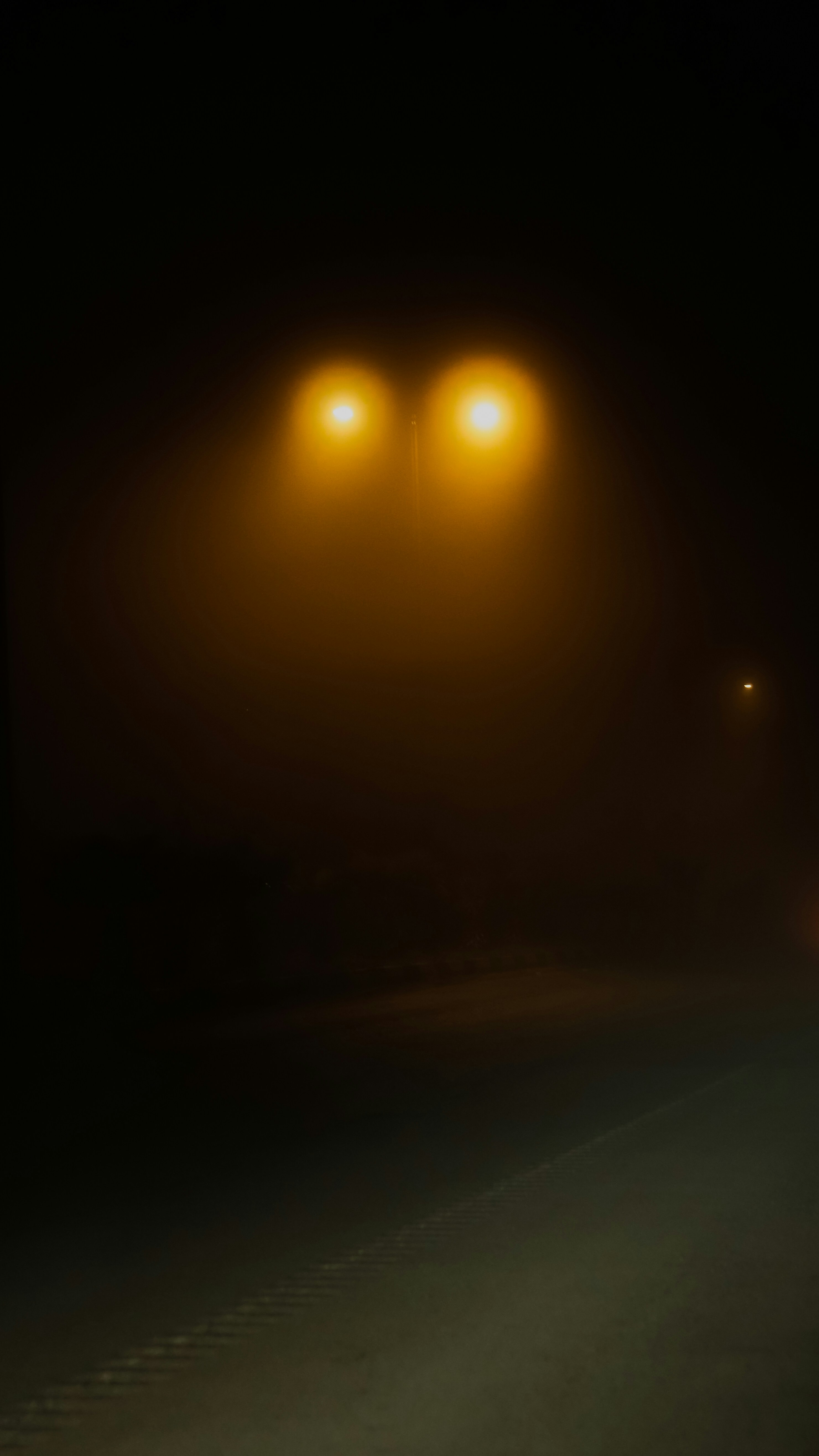 Photo by alireza_hashemi