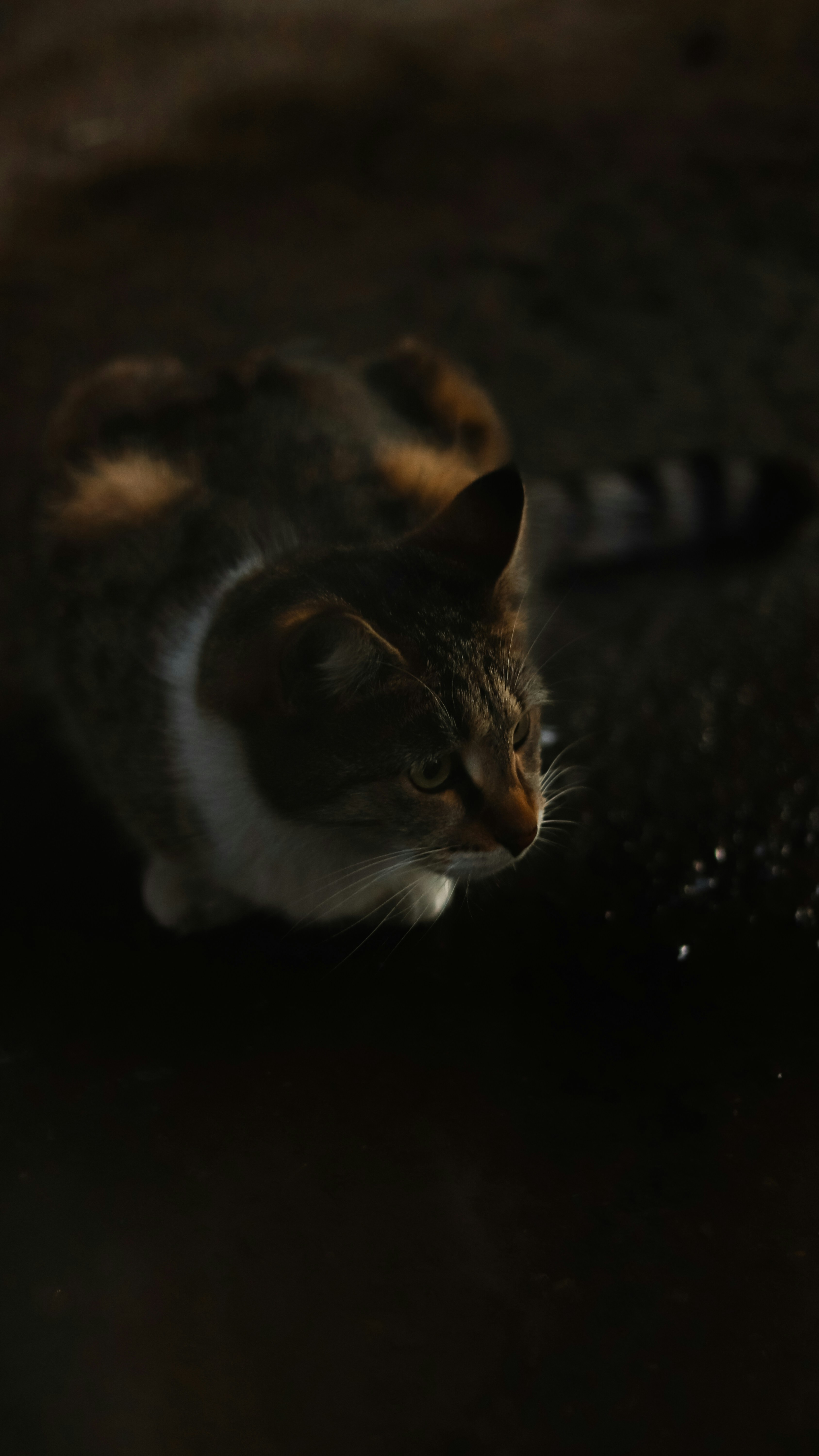 Photo by alireza_hashemi