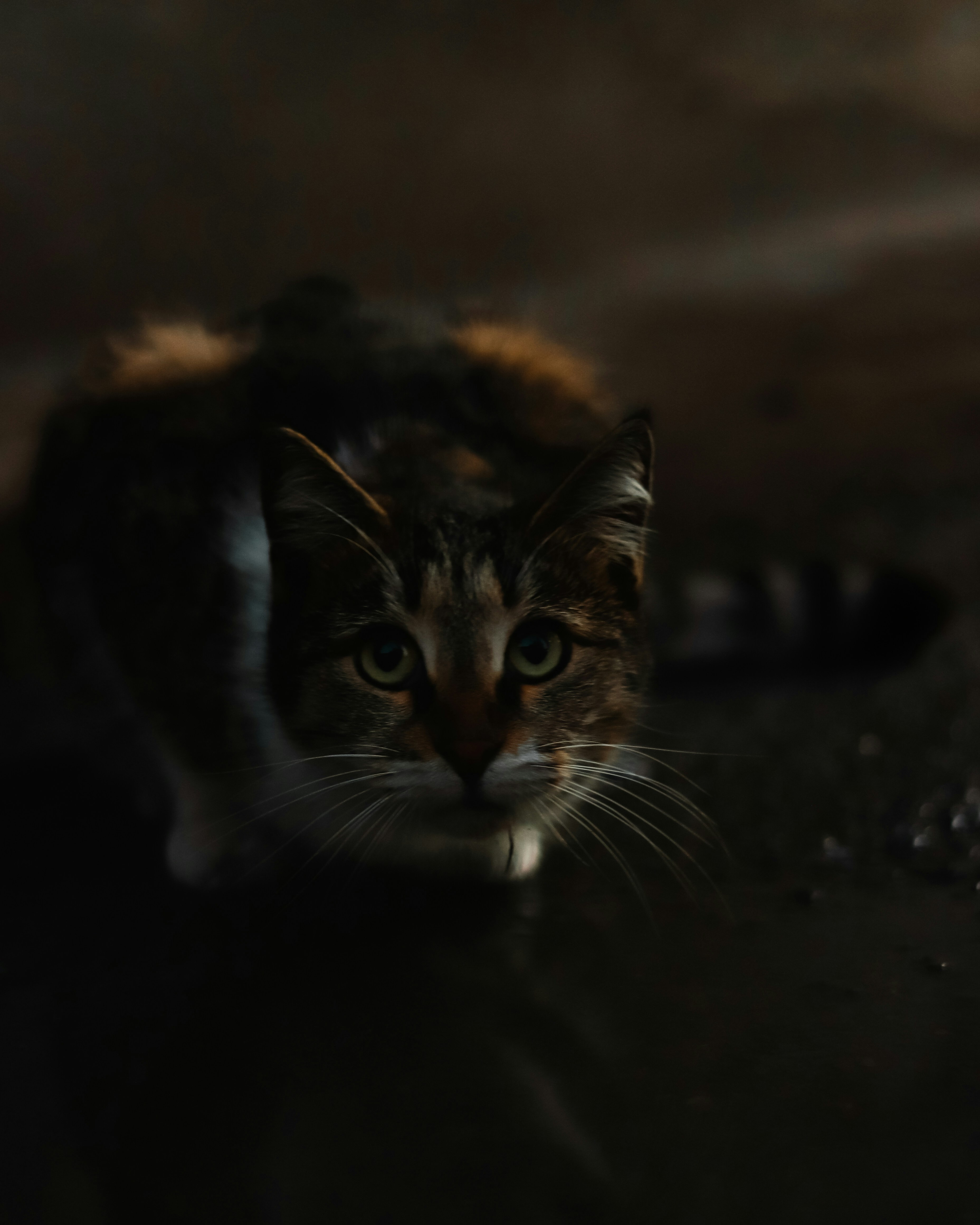 Photo by alireza_hashemi