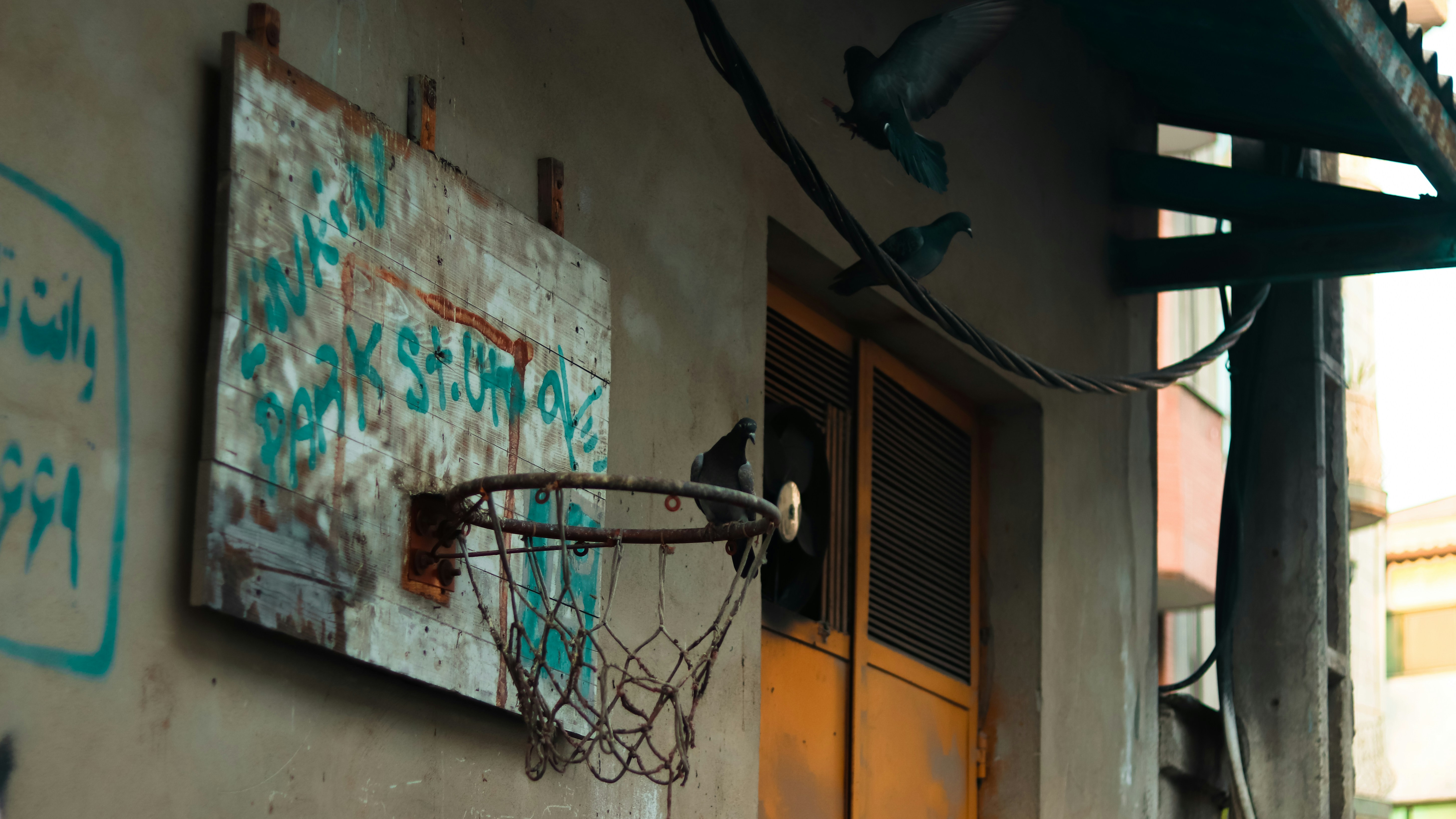 Photo by alireza_hashemi