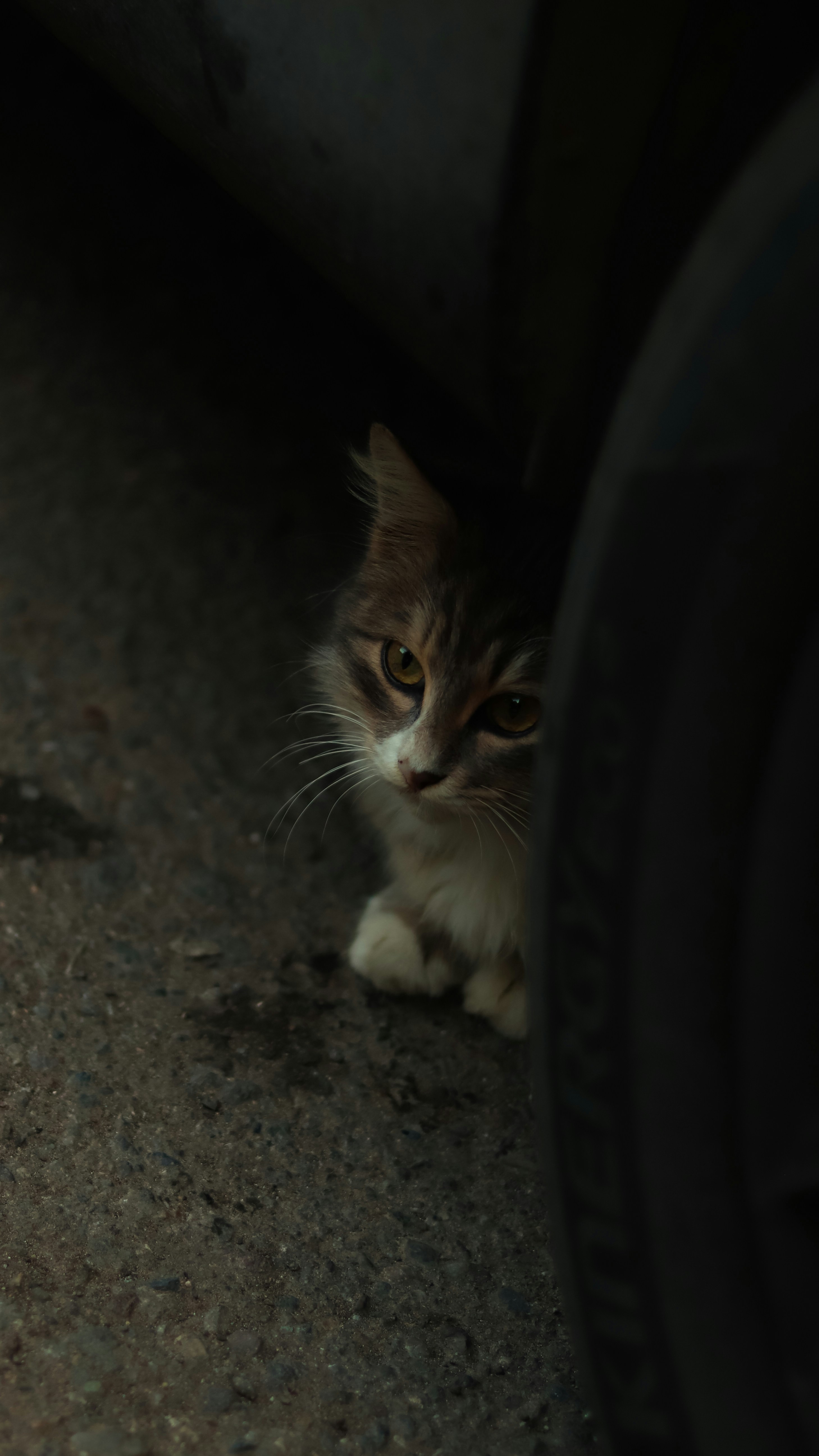 Photo by alireza_hashemi