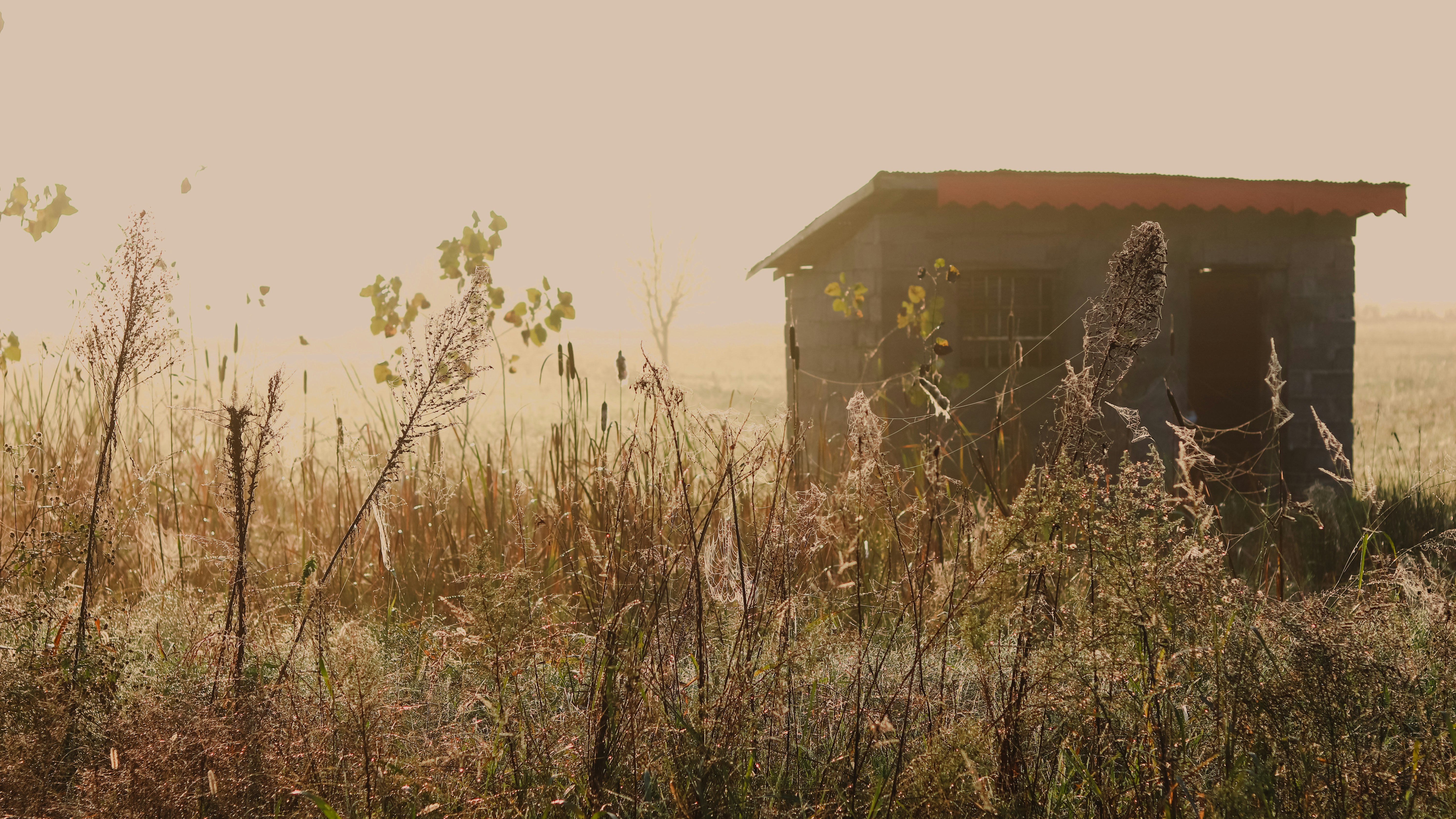 Photo by alireza_hashemi