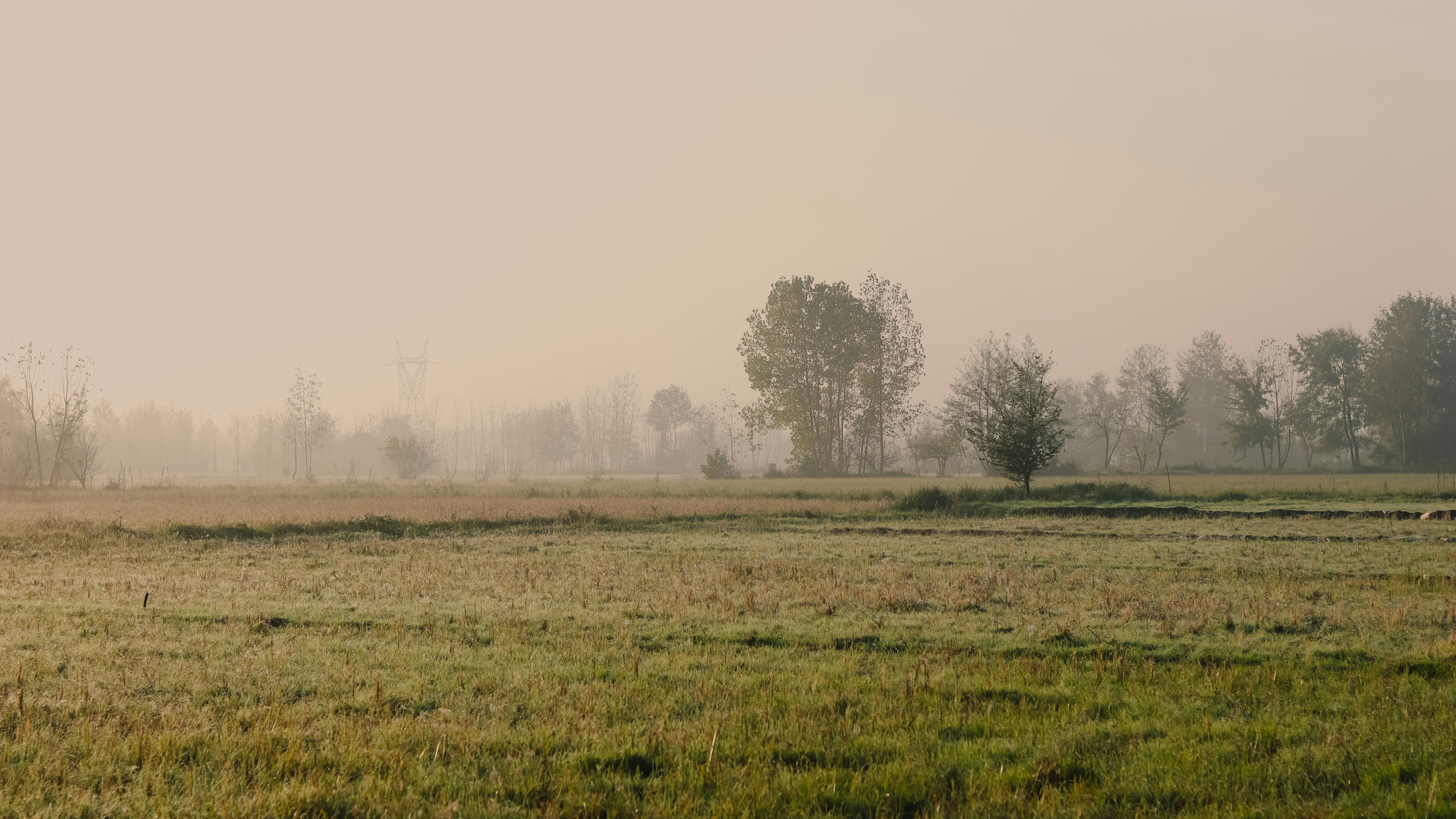 Photo by alireza_hashemi