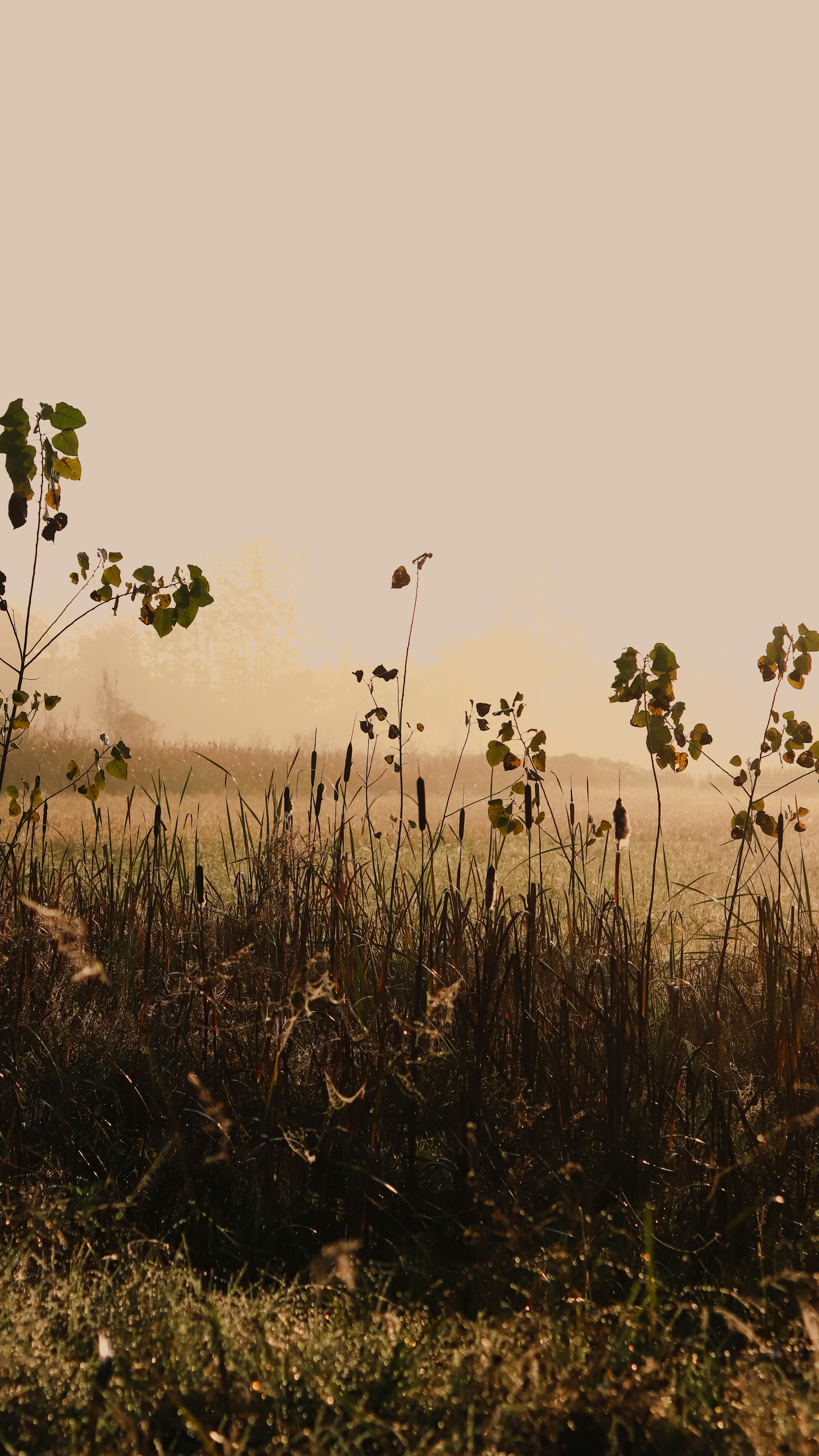 Photo by alireza_hashemi