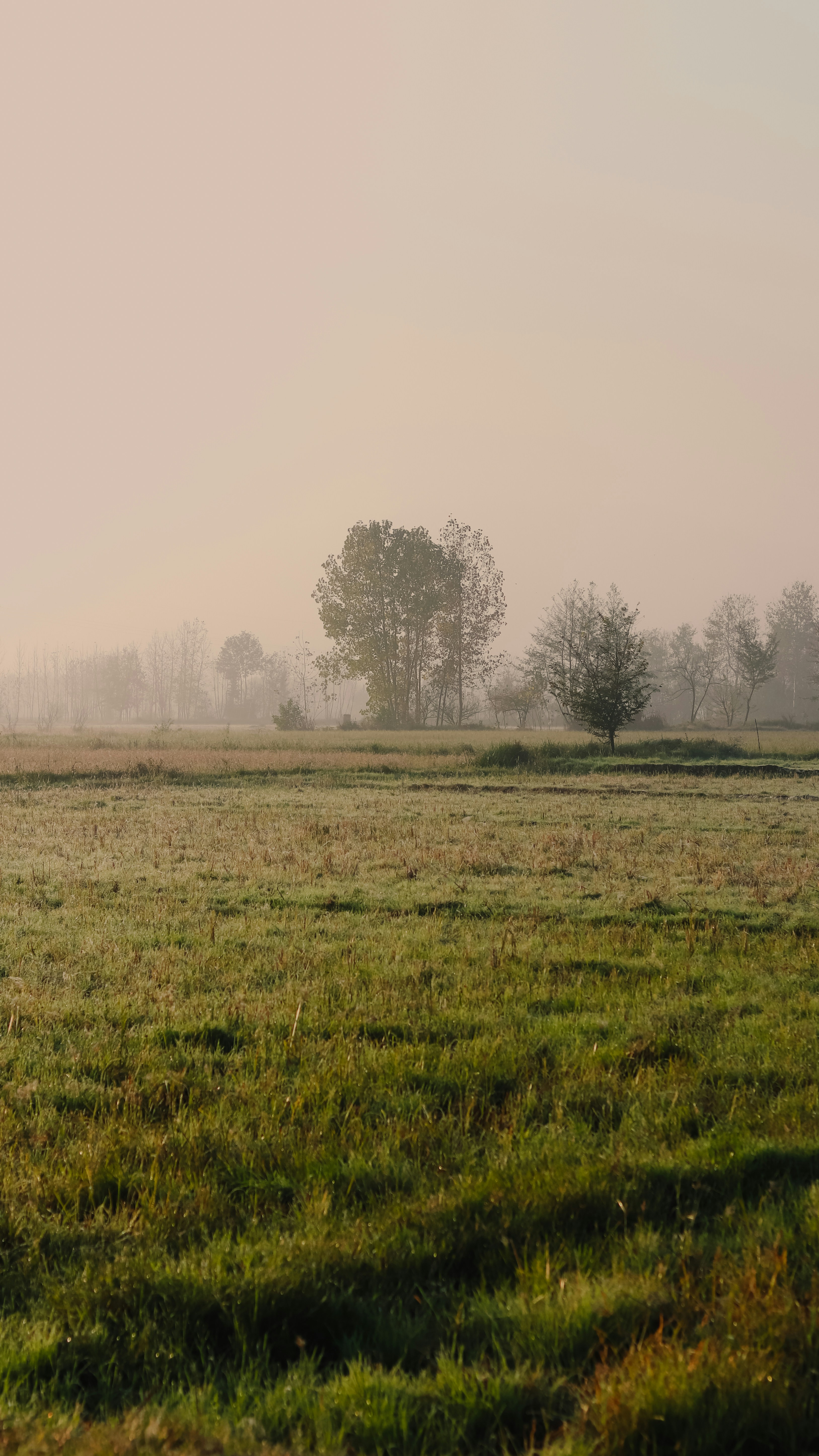 Photo by alireza_hashemi