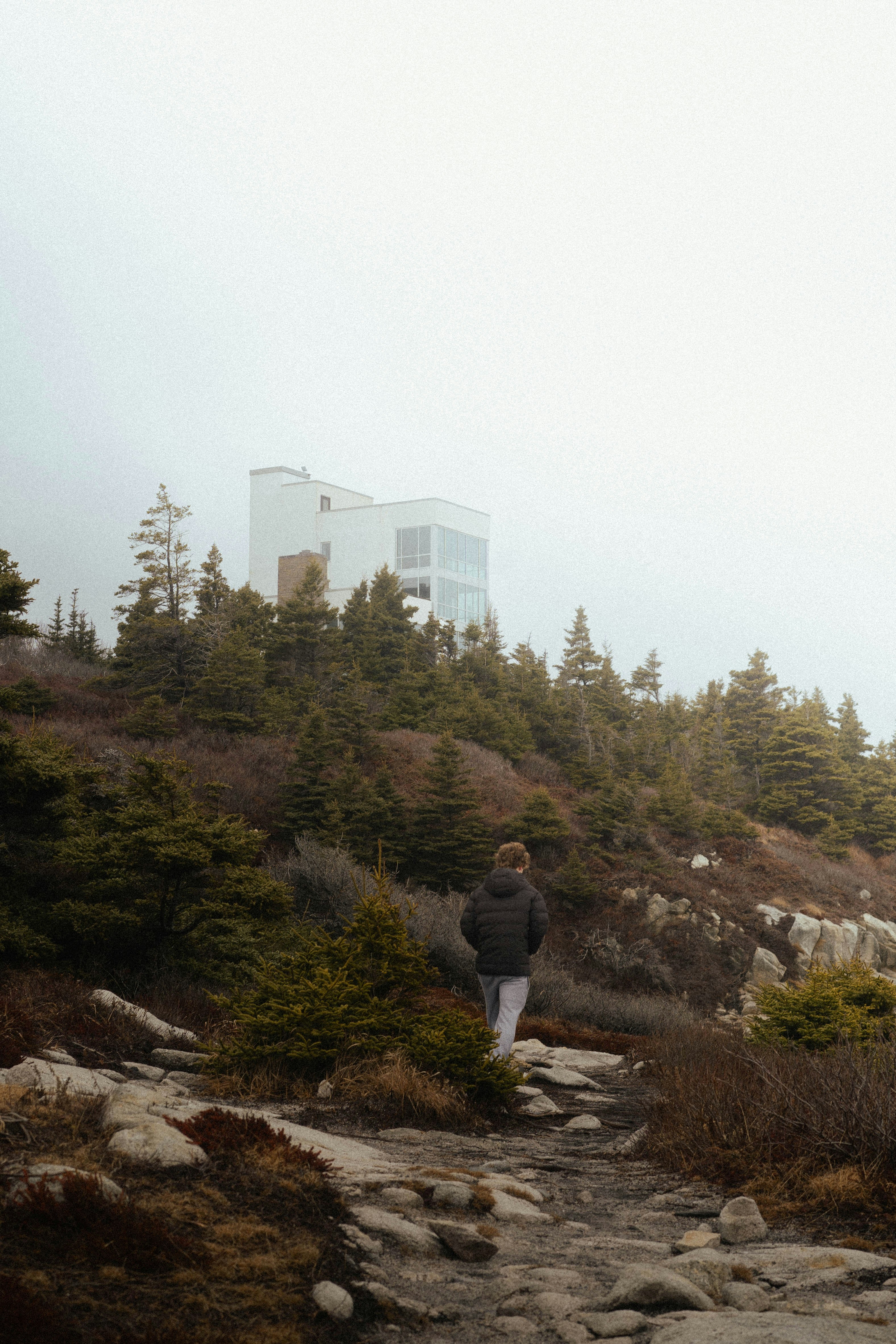 A person walking up a rocky path on a foggy day
