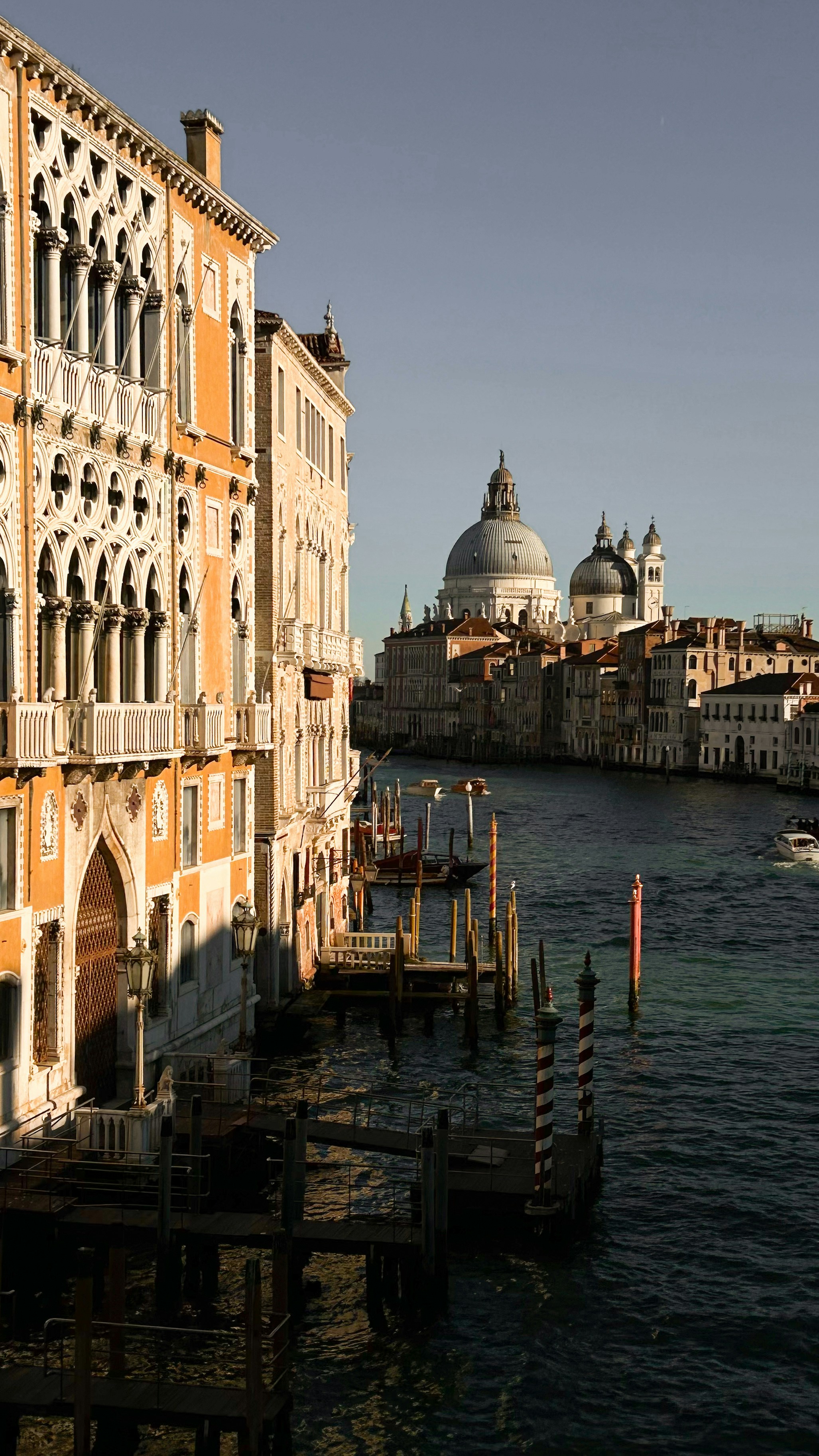 Photo by sogandsajedi