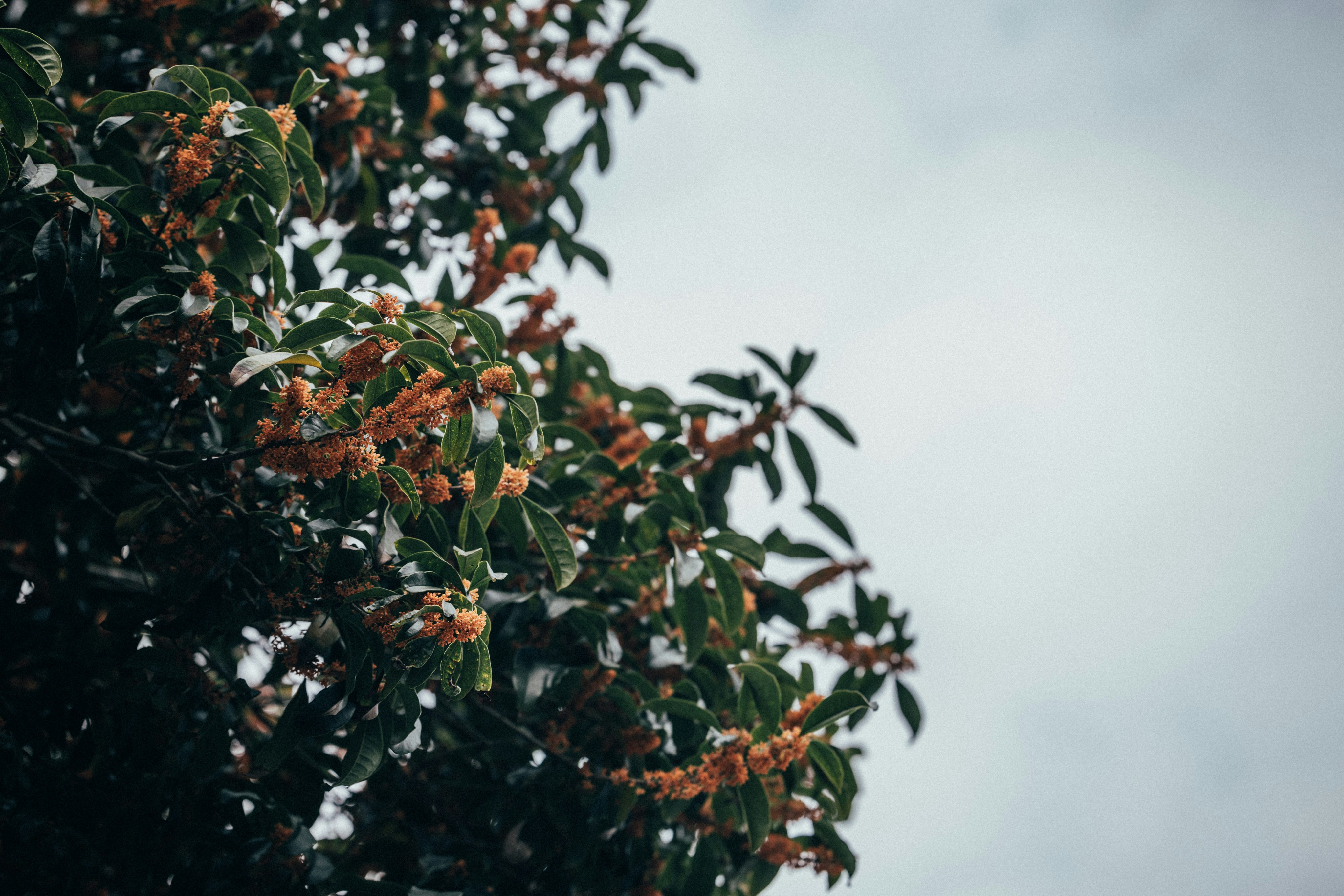 Photo by tsuyoshikozu