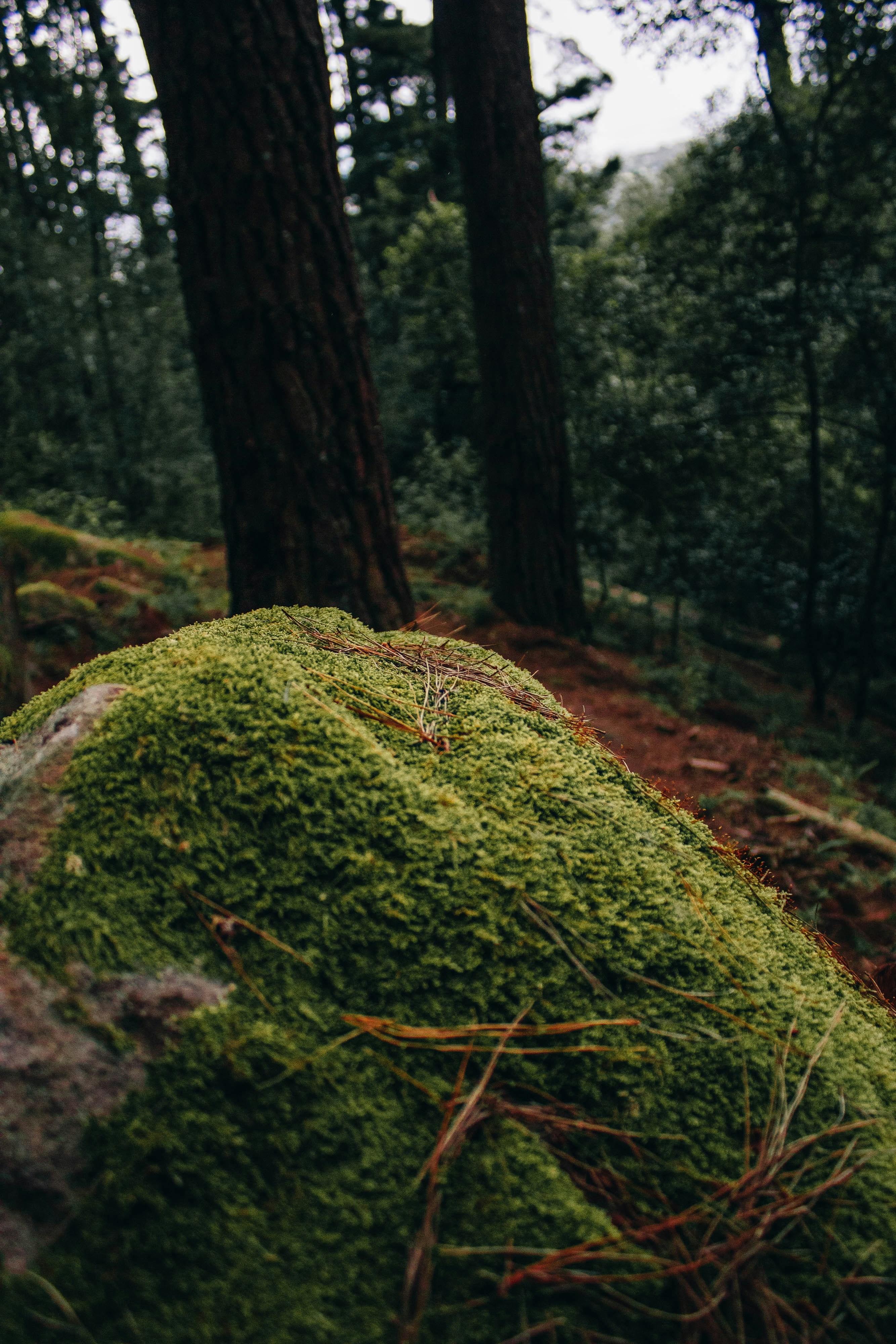 Photo by kcphotographer