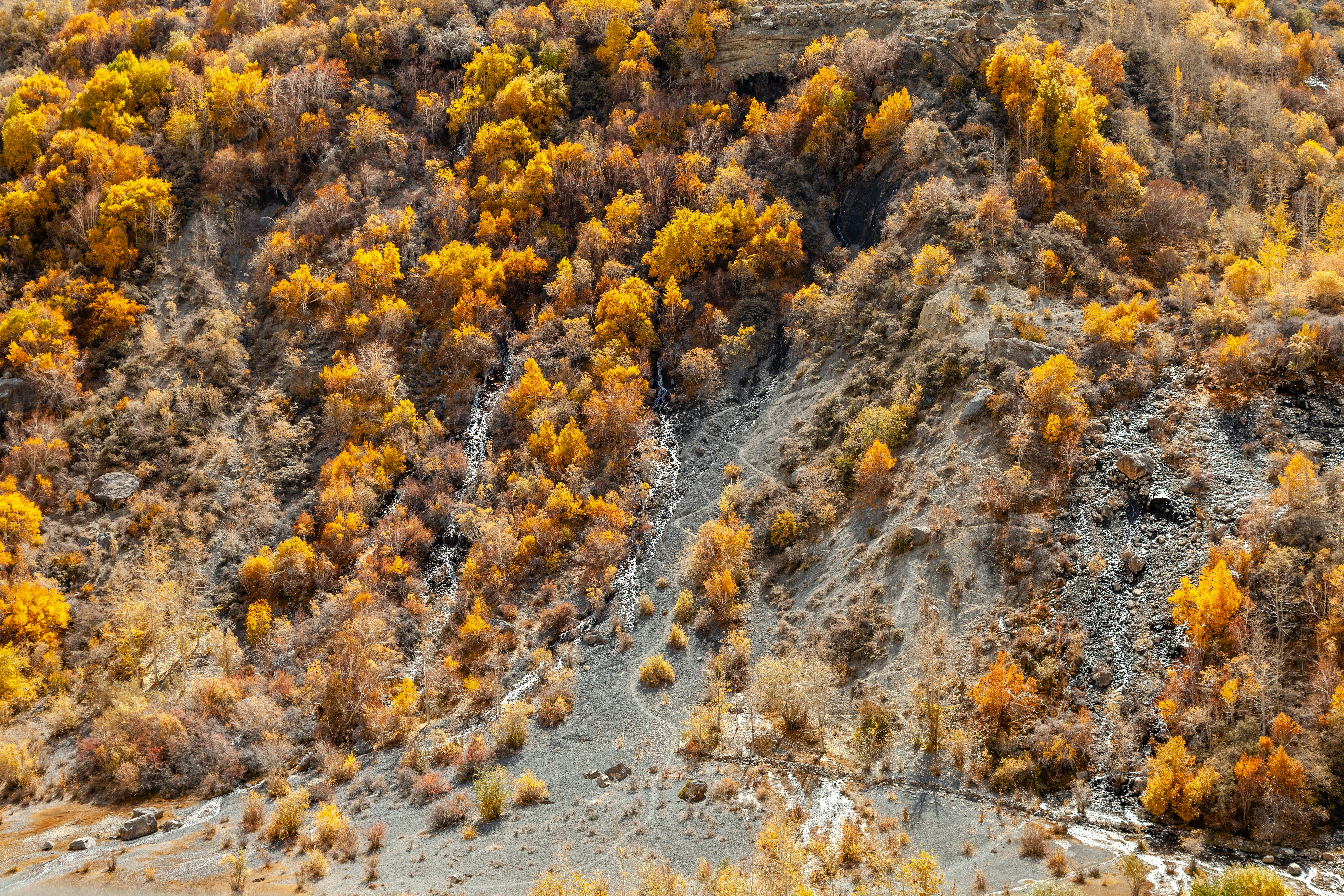 A hill with a lot of trees on top of it