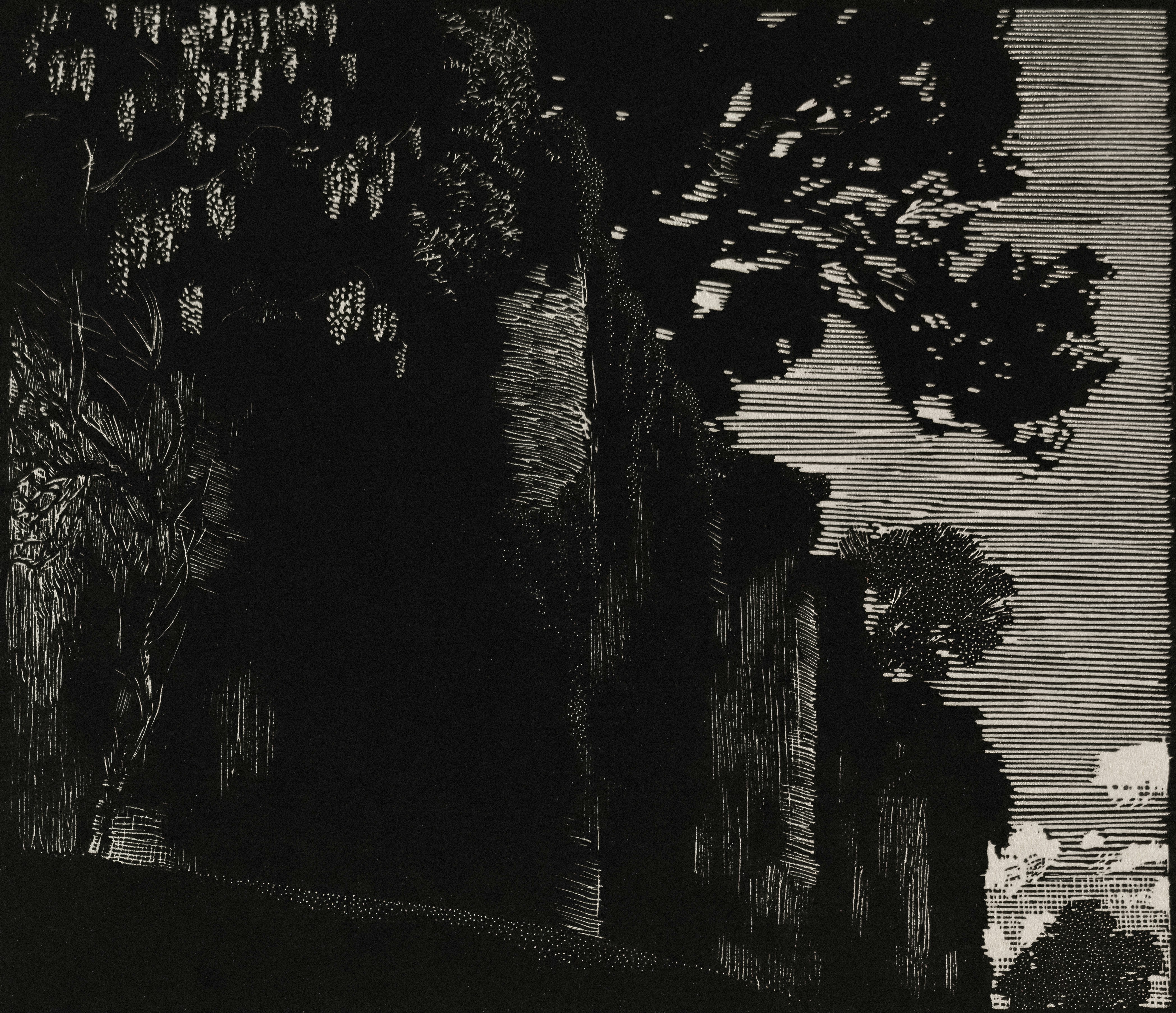 Photo by clevelandart