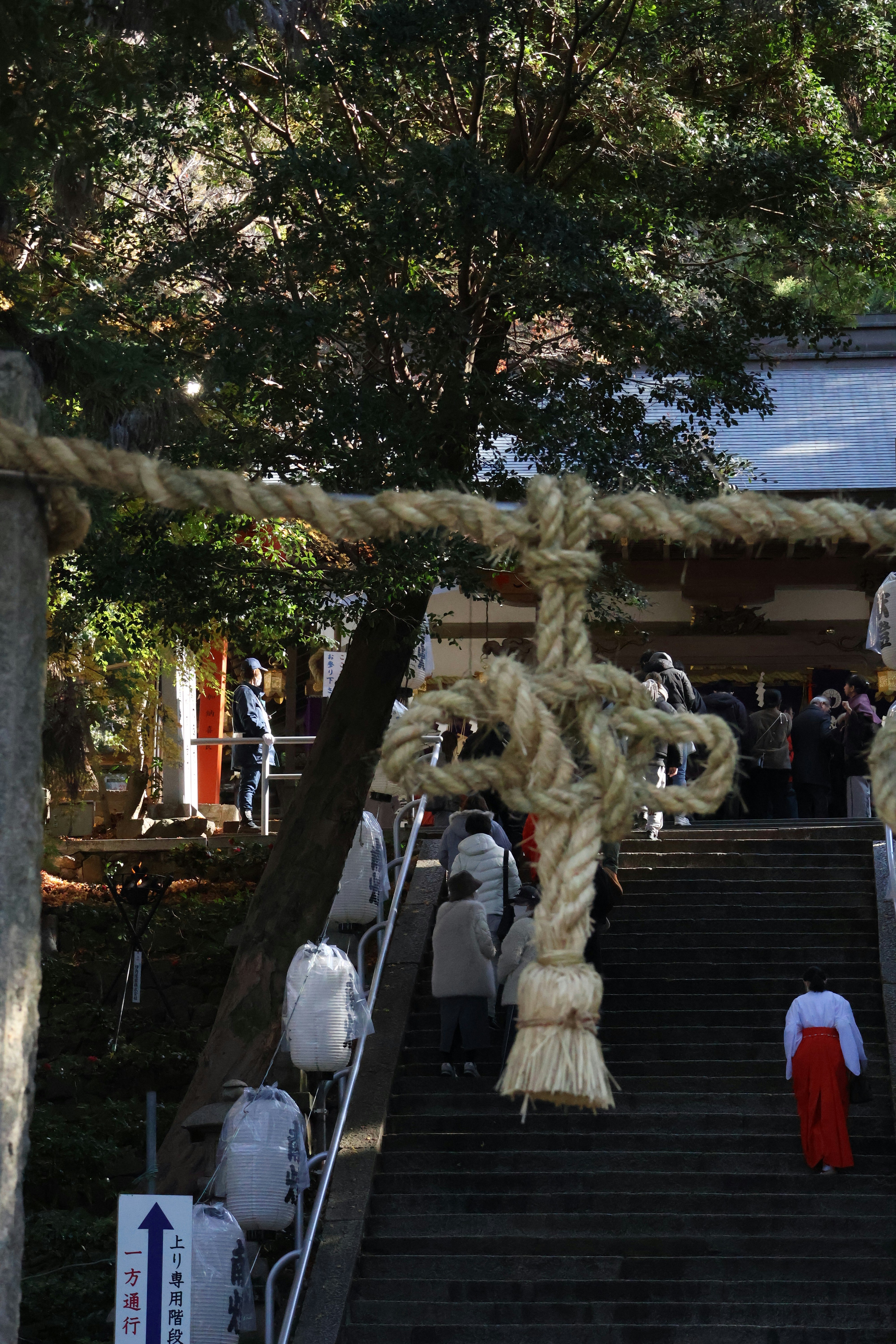Un gruppo di persone che salgono una rampa di scale