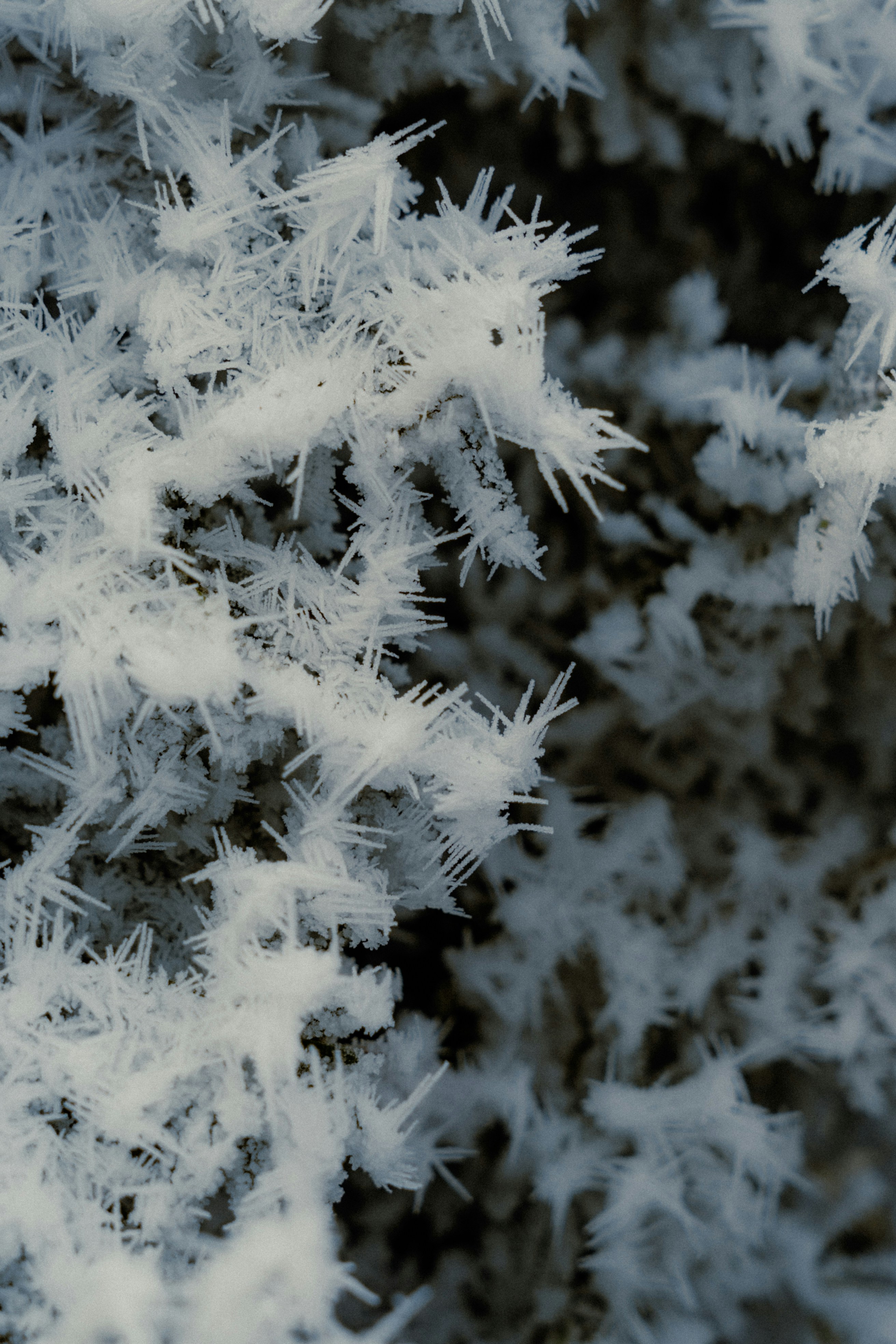 Photo by dermanuskript