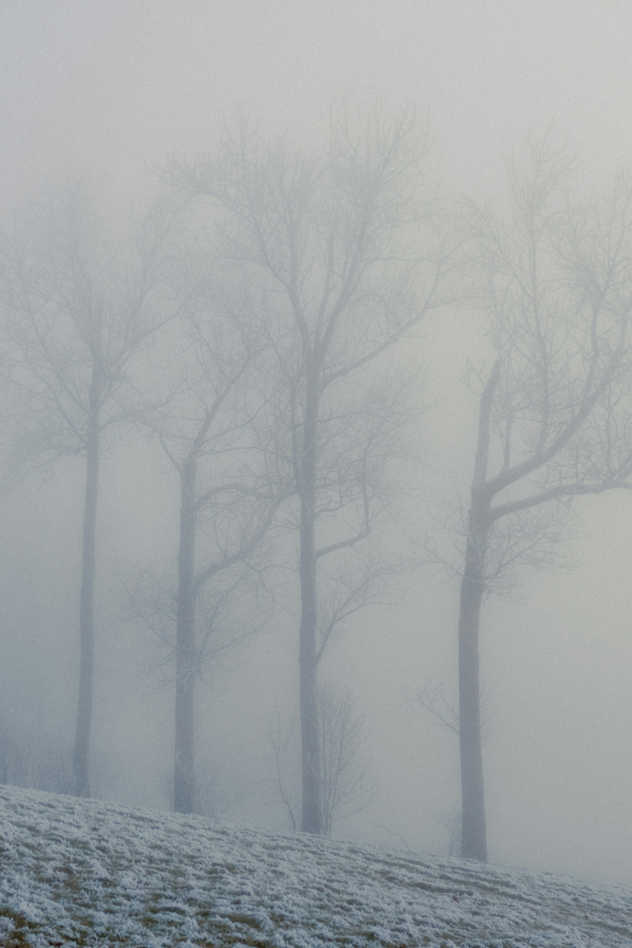 Photo by dermanuskript