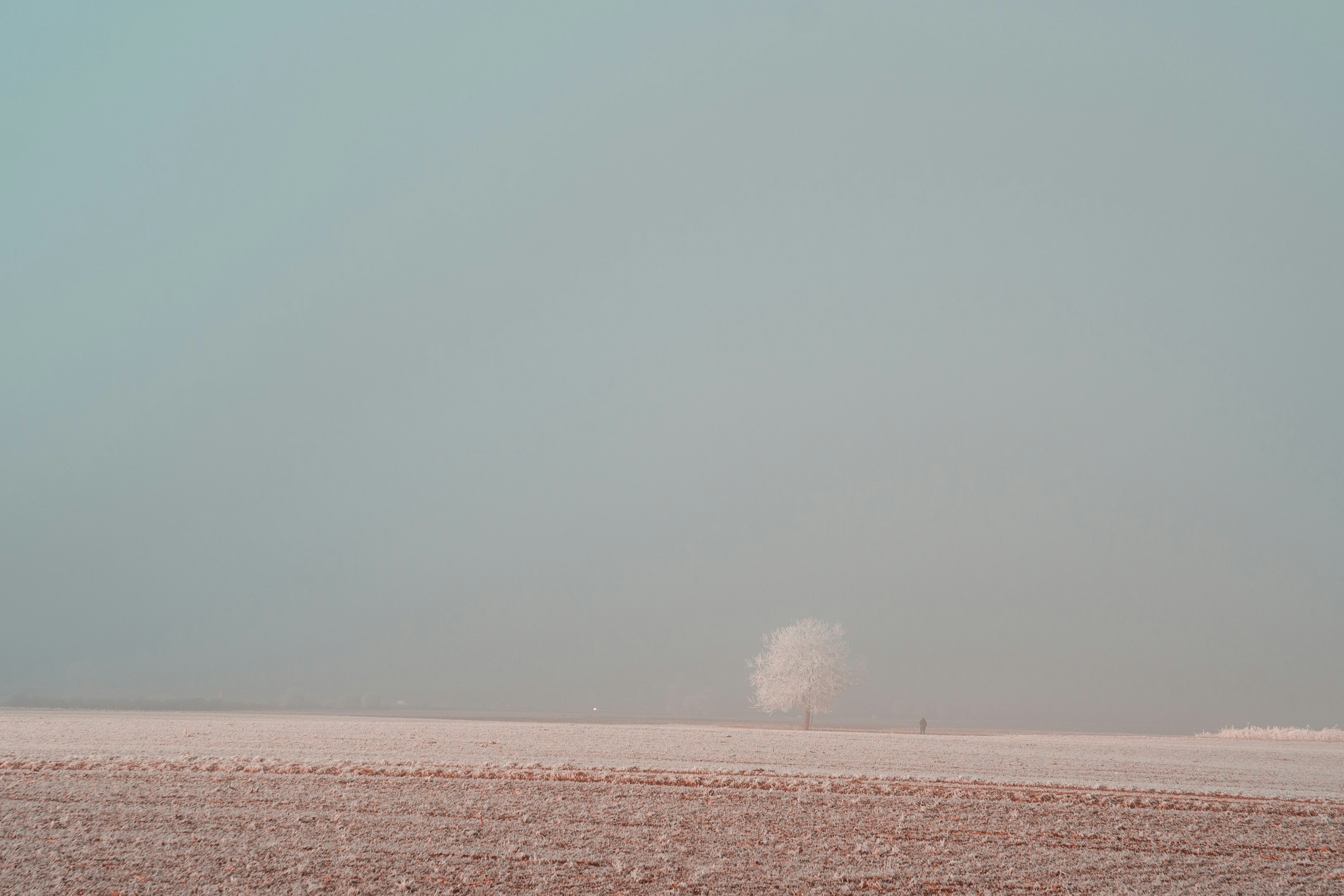 Photo by dermanuskript