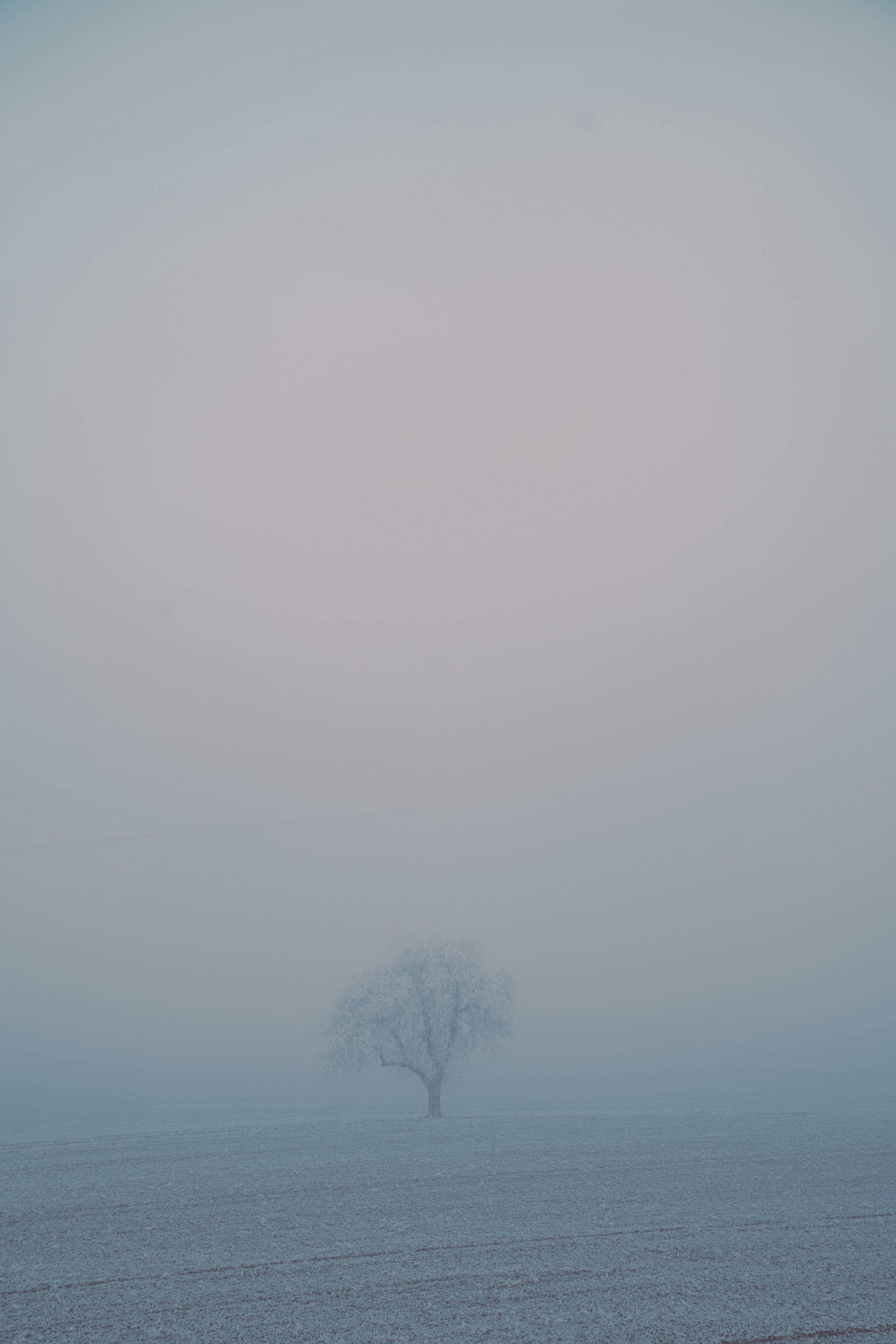 Photo by dermanuskript