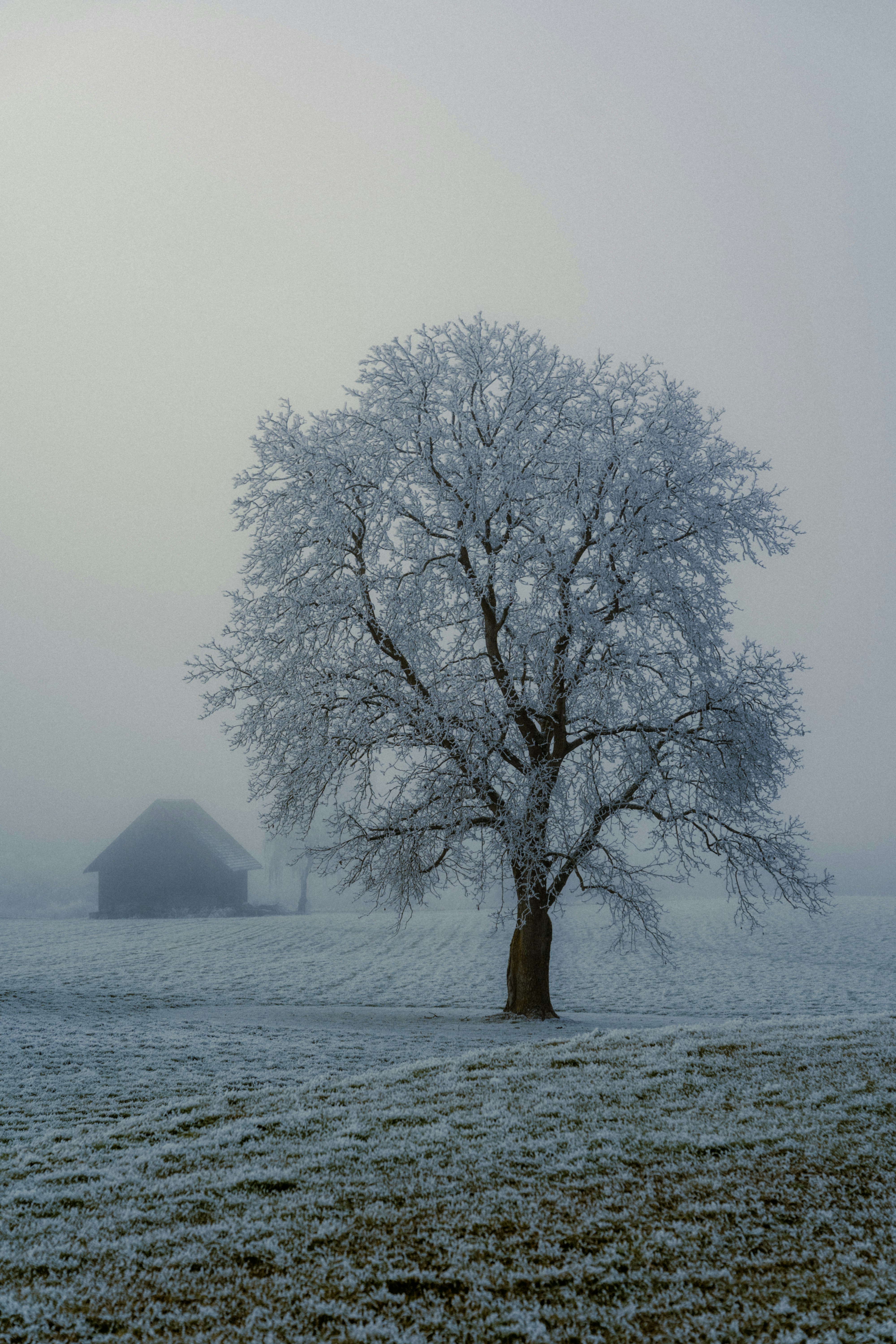 Photo by dermanuskript