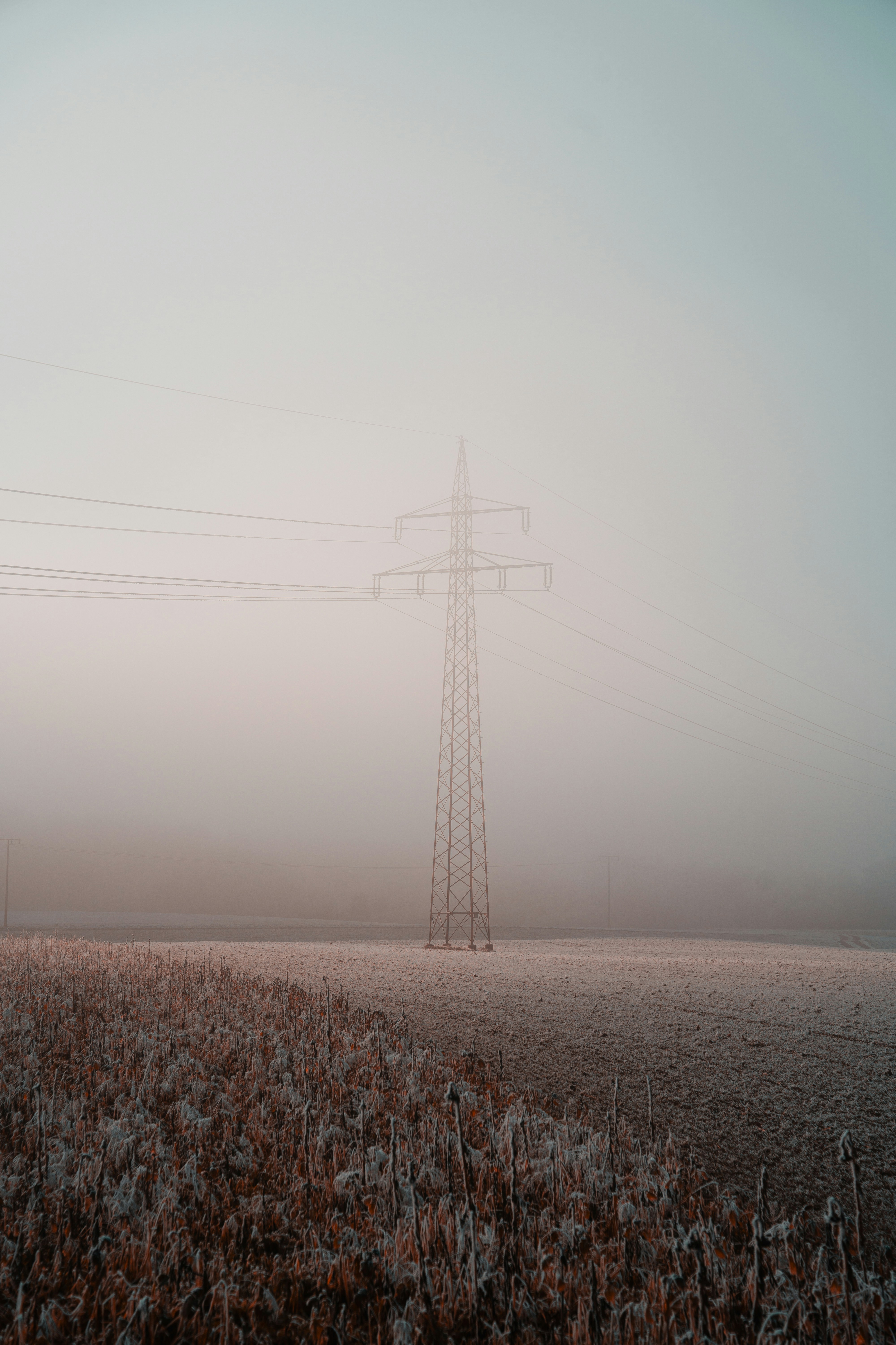 Photo by dermanuskript