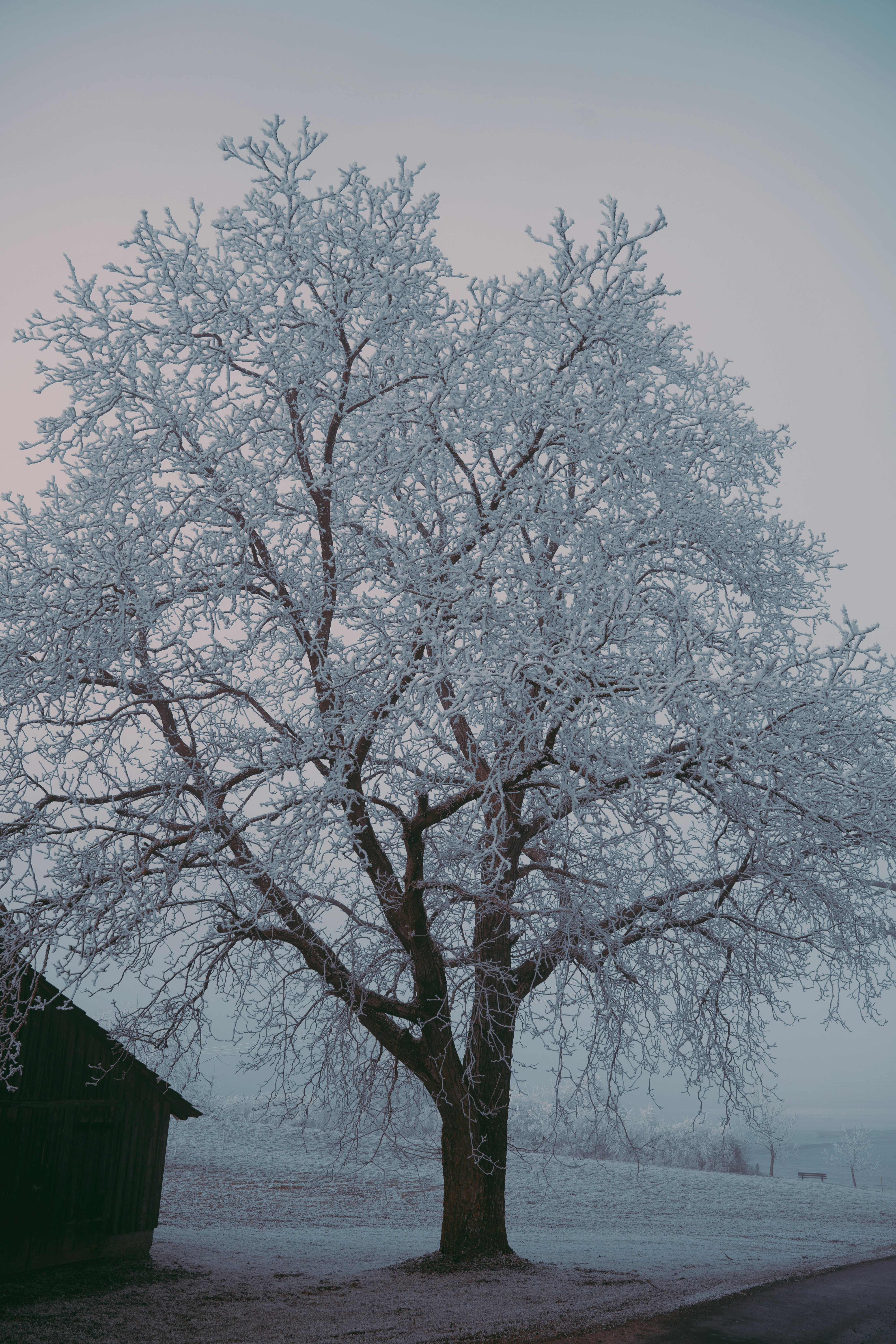 Photo by dermanuskript