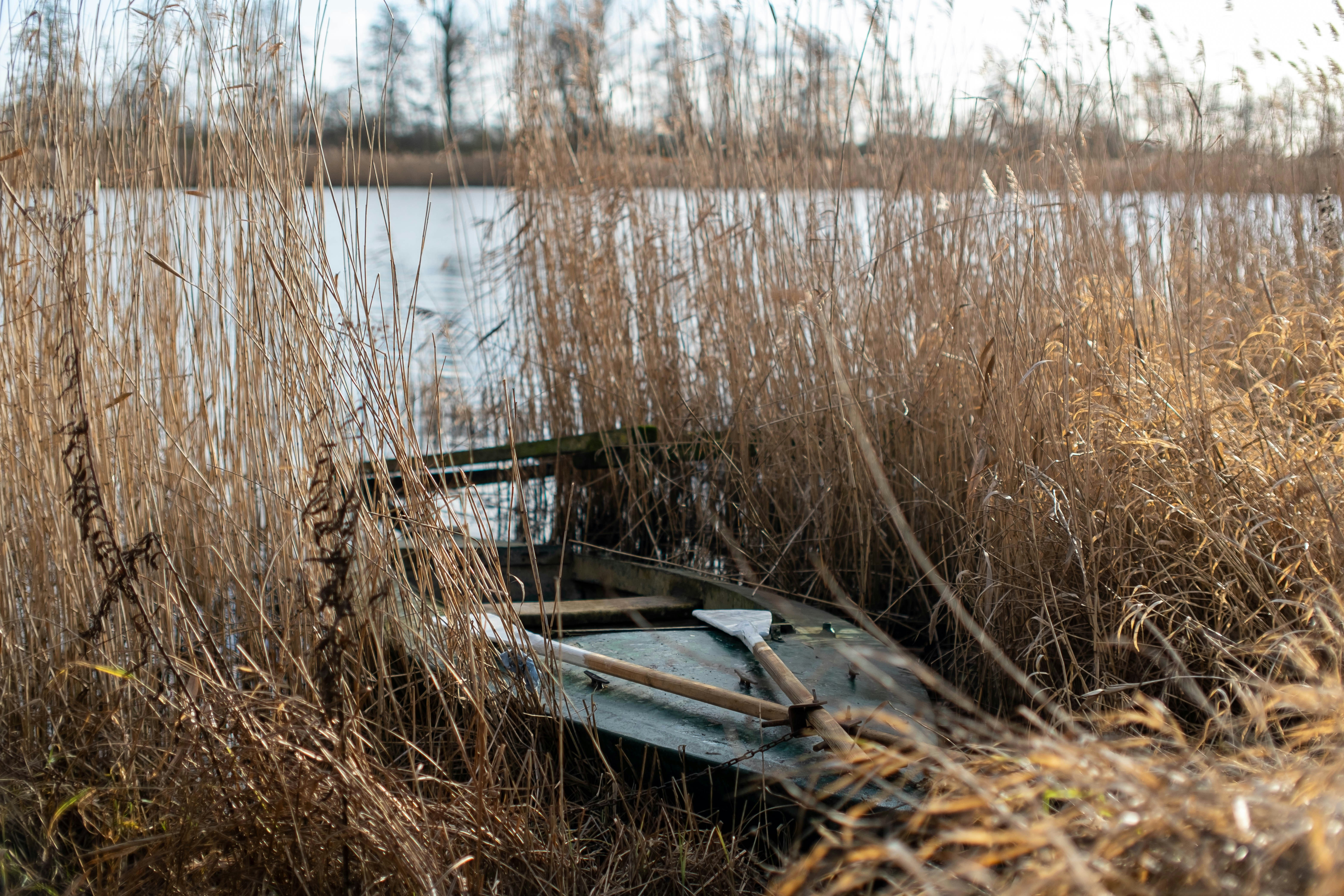 A boat sitting in the middle of tall grass