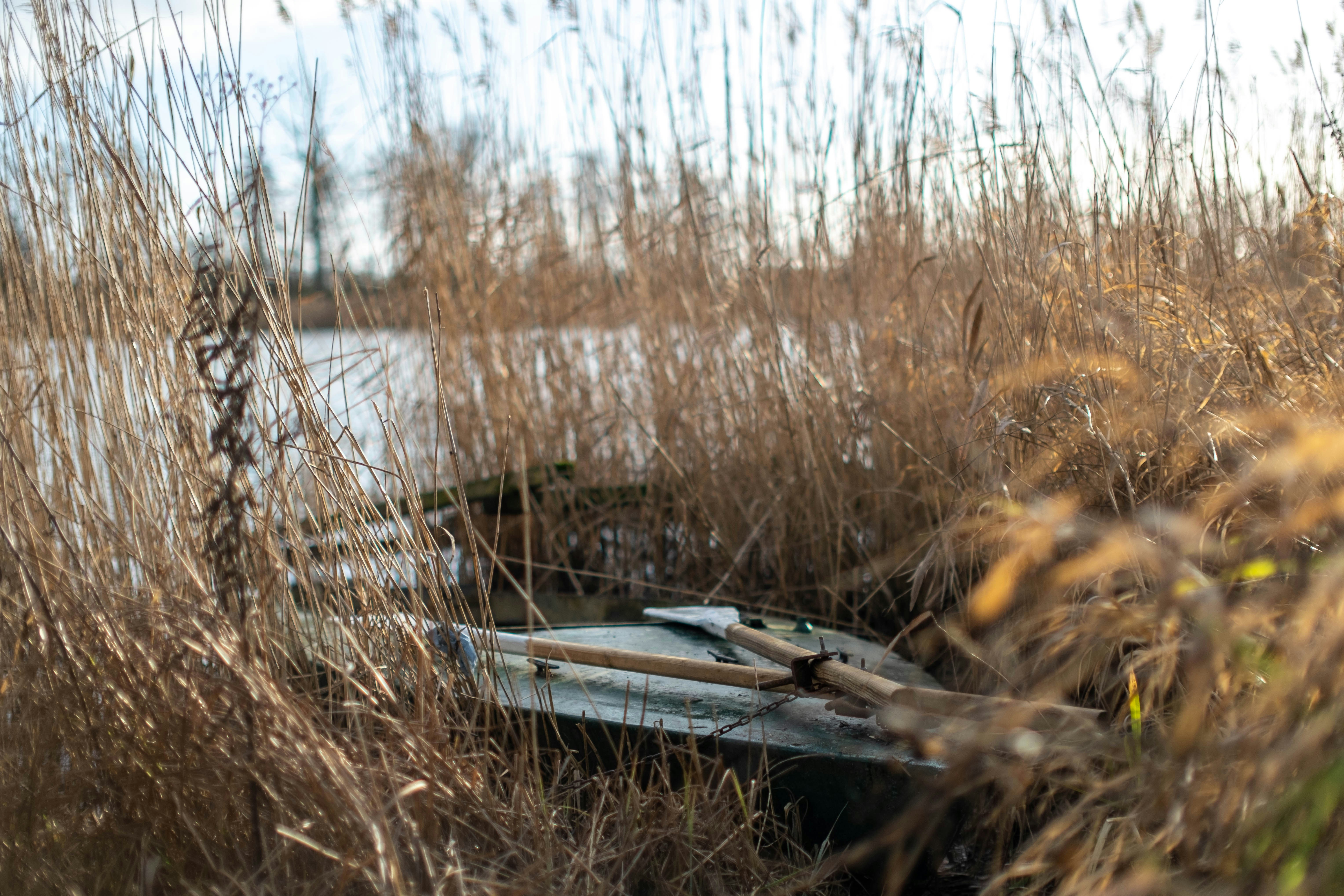 2025 보유세 개편 요약, 실거주자 혜택 커진다?